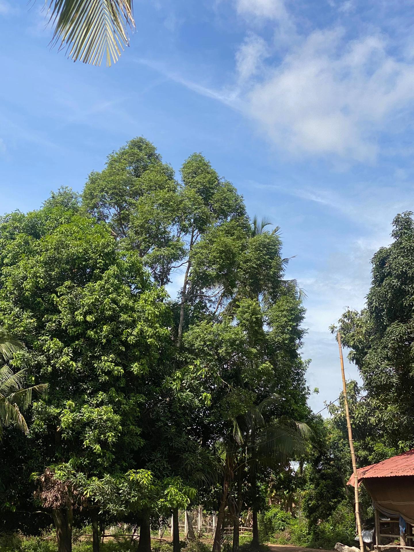 @Crazy!!