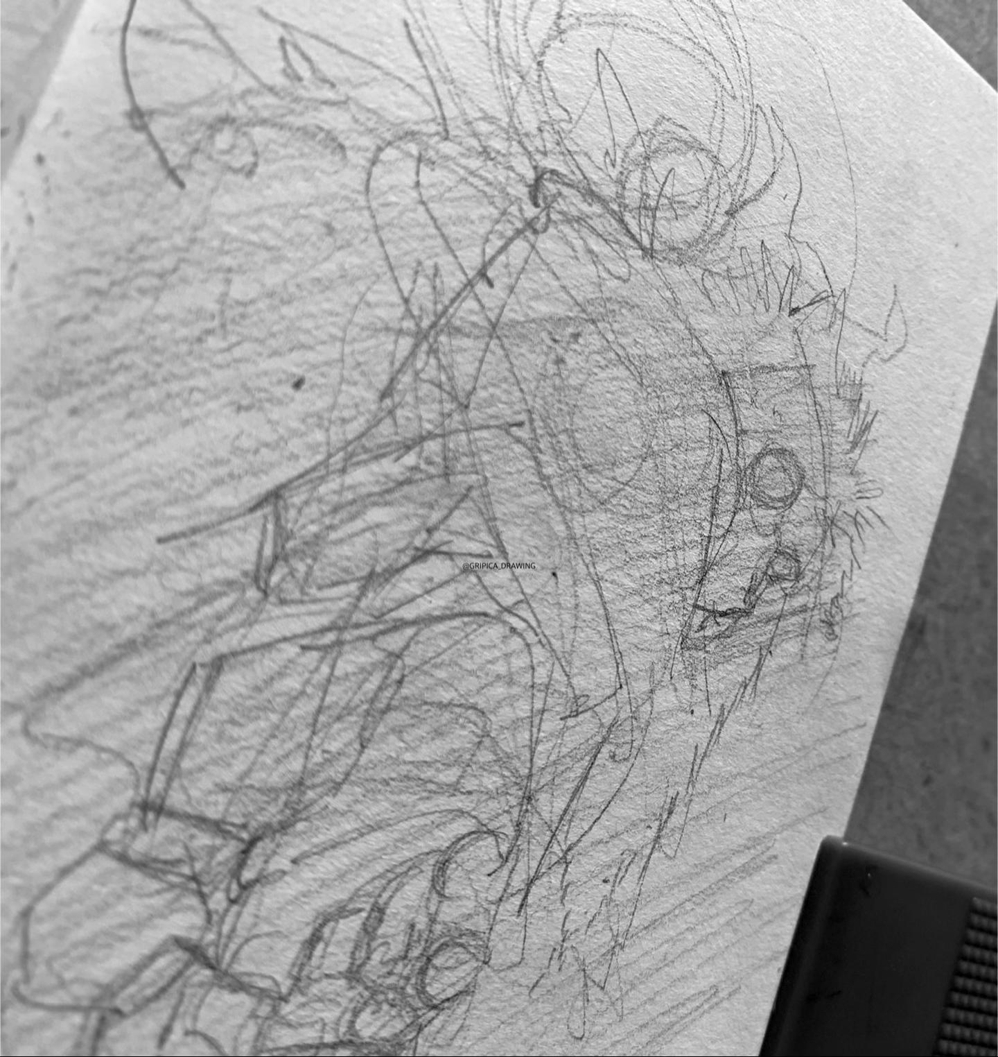 @GRIPICA_DRAWING