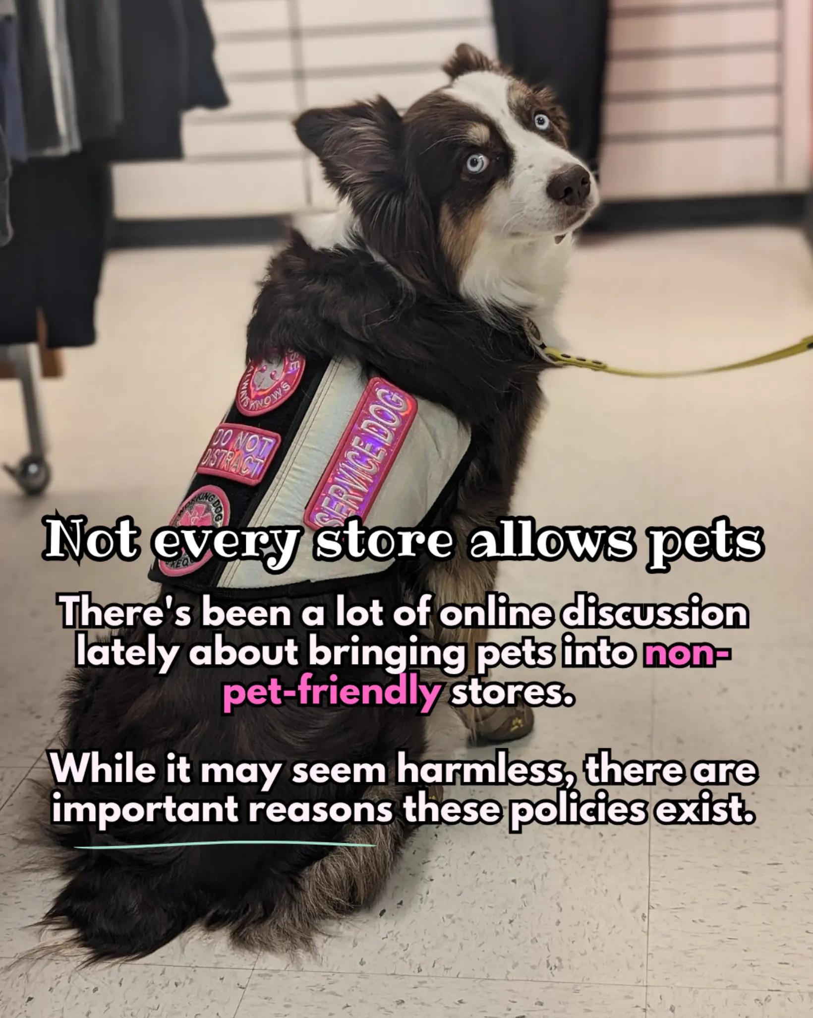 @BasicallyBandit