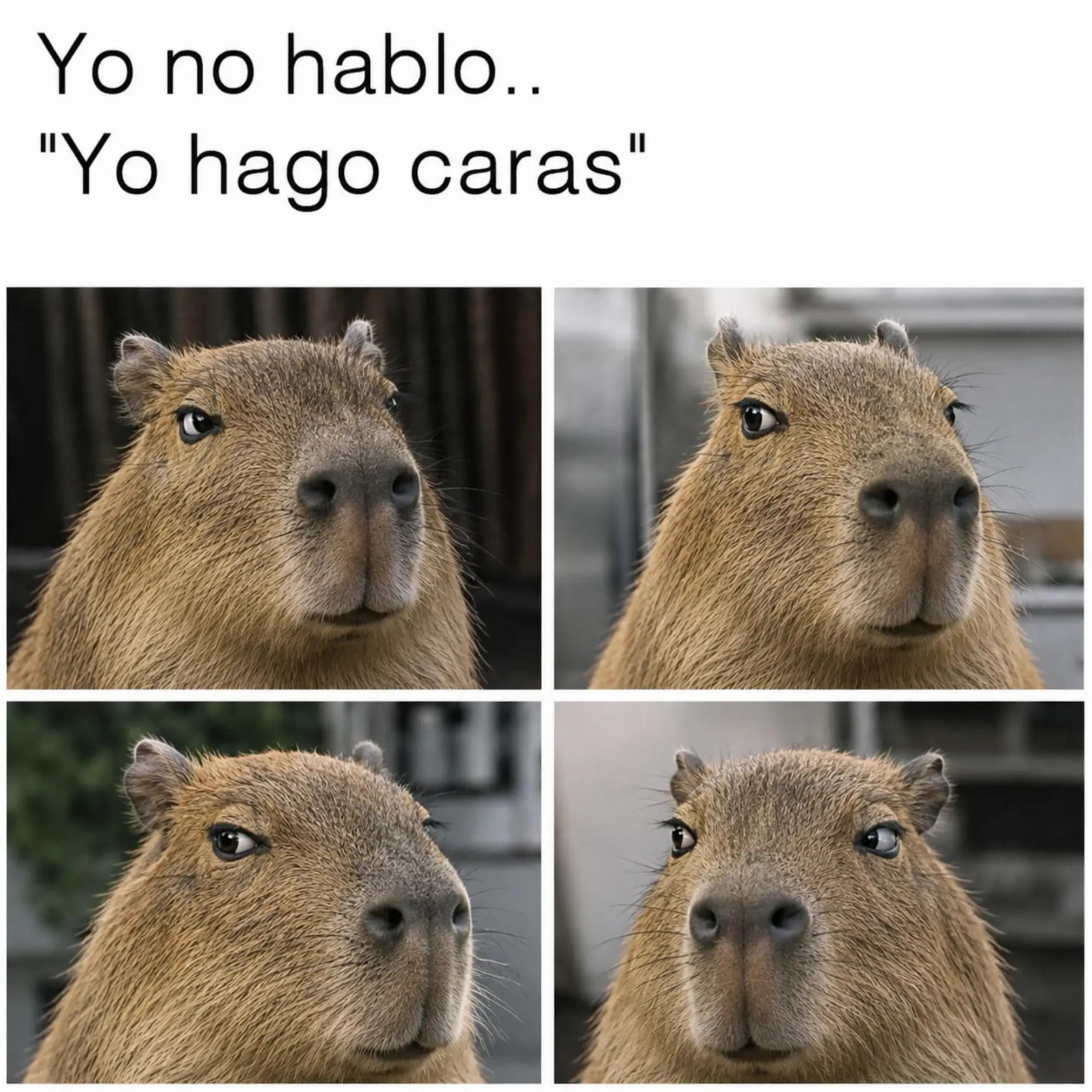 @La Esposita