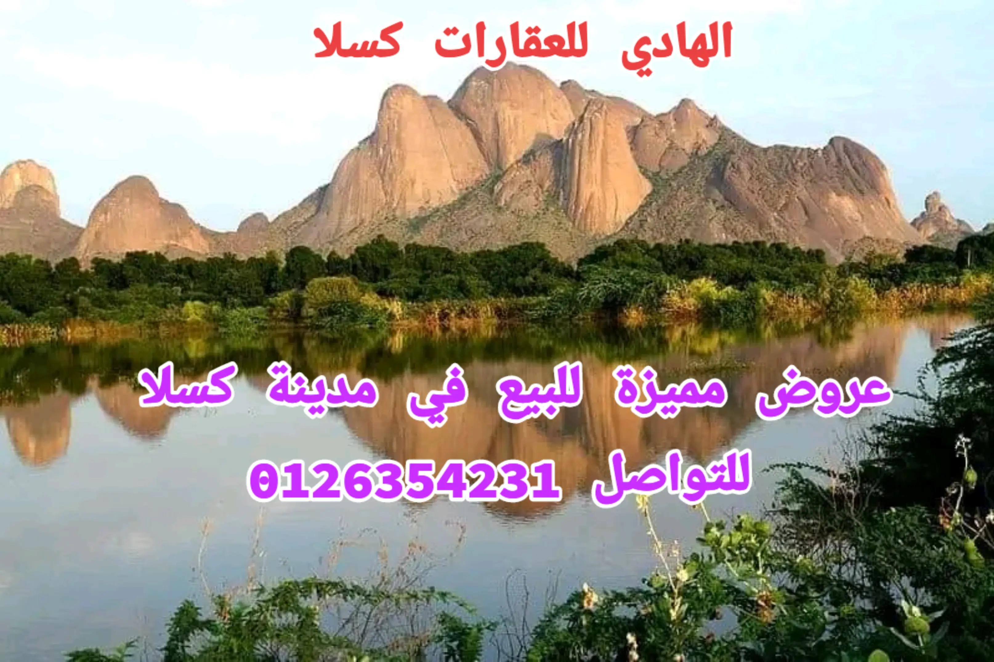 @الهادي للعقارات-كسلا