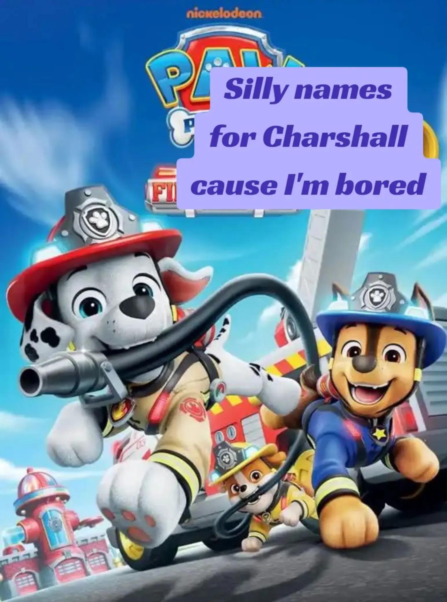 @Jester 🎭 (Paw Patrol No1 Fan)