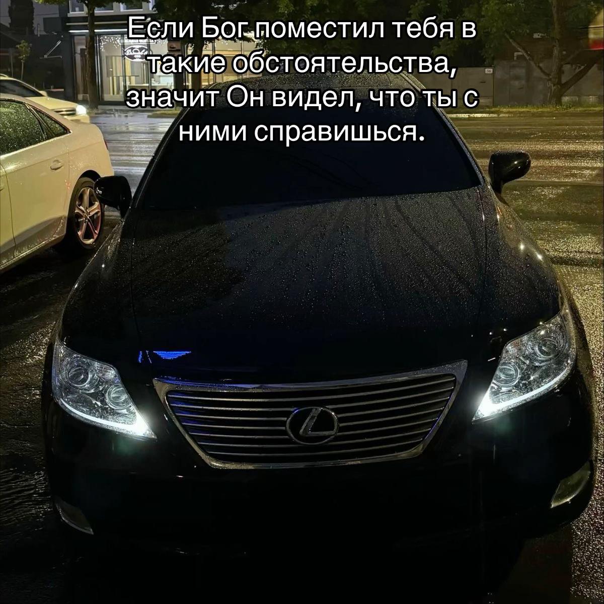 @777_koshka_777_