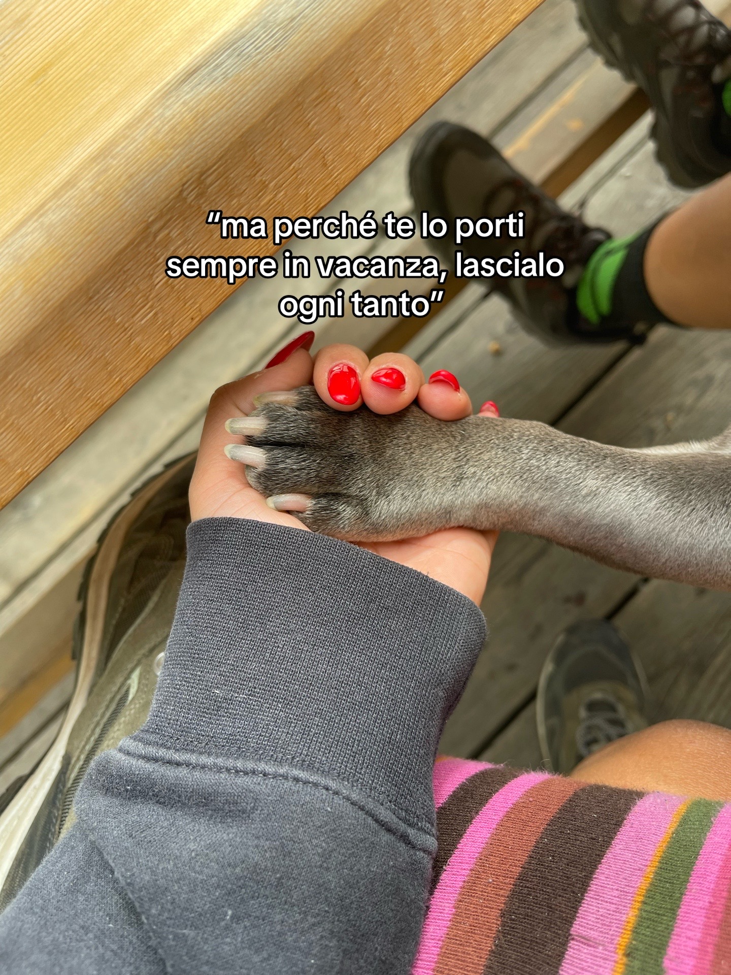 @camici