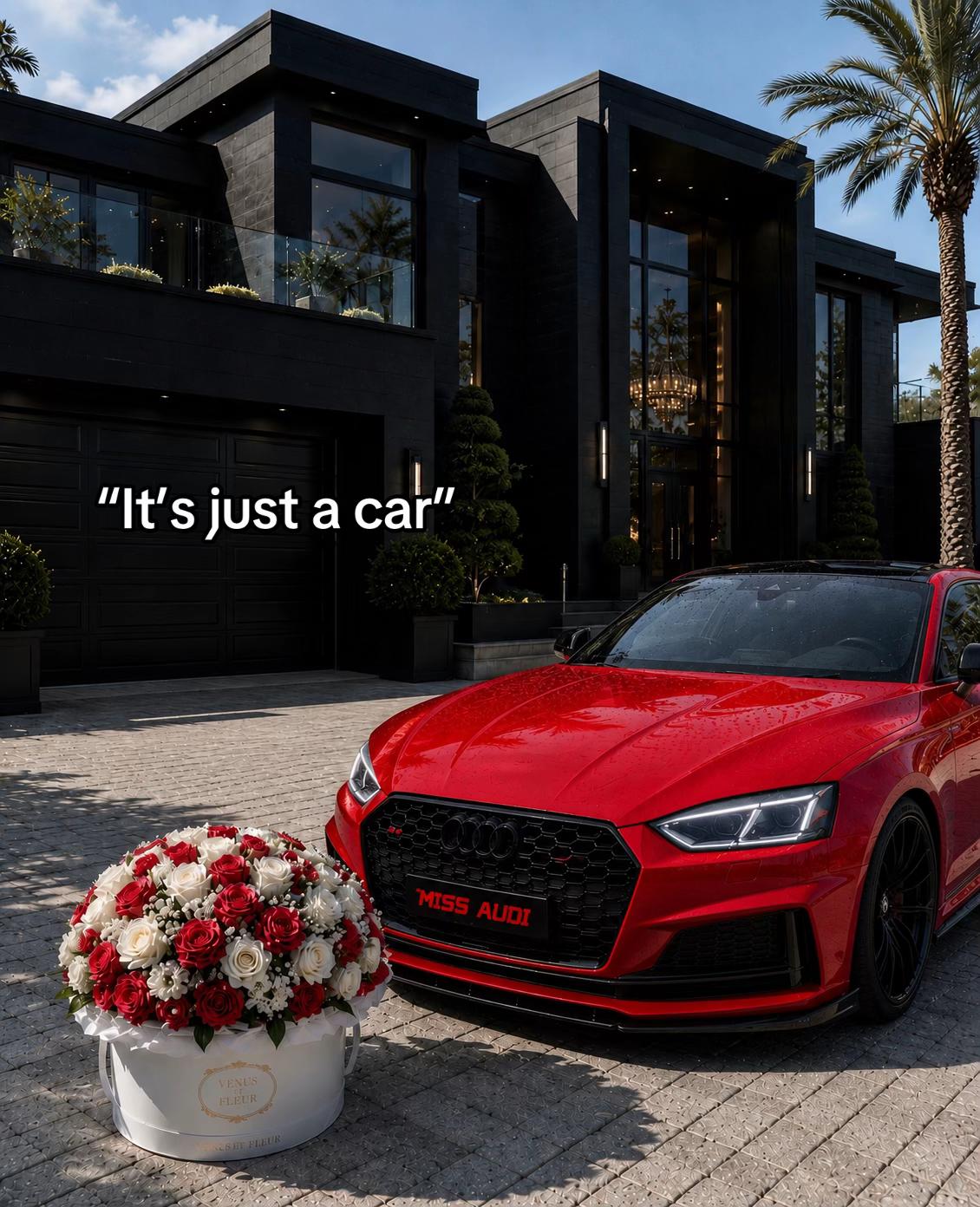 @Miss Audi