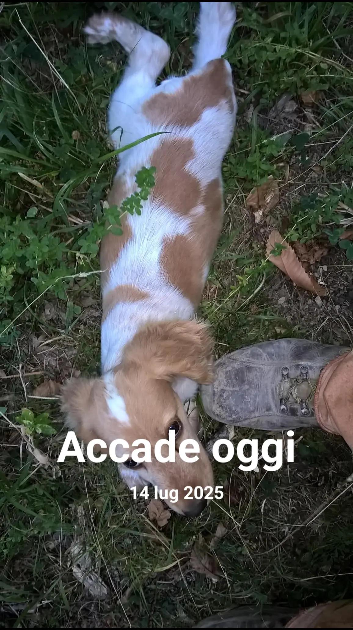 @Gio Mansi