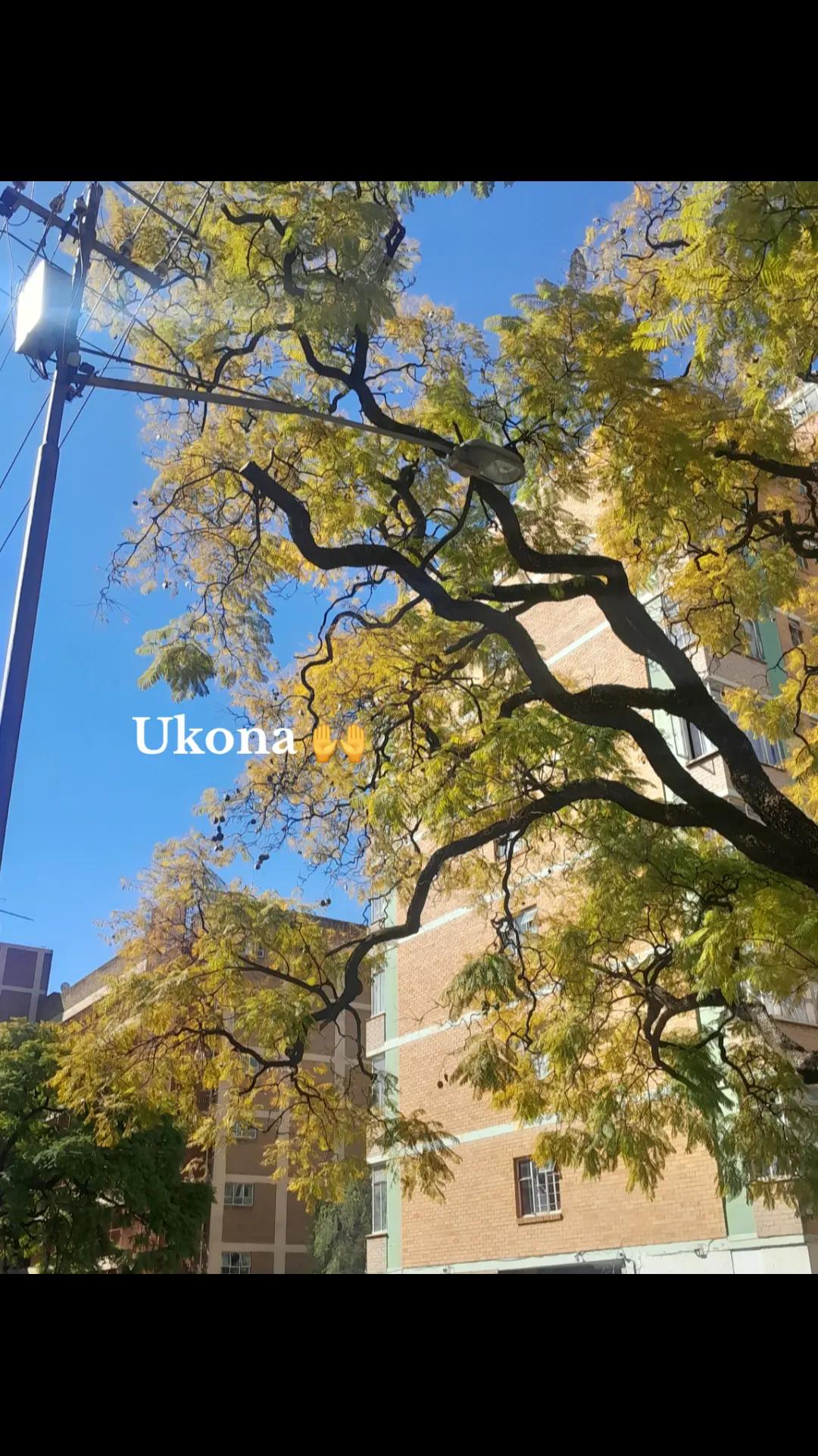 @Mandlakapheyi