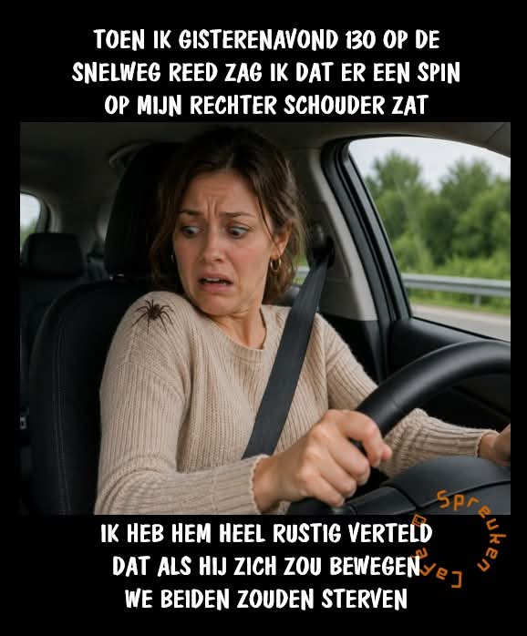 @Ray Cardol