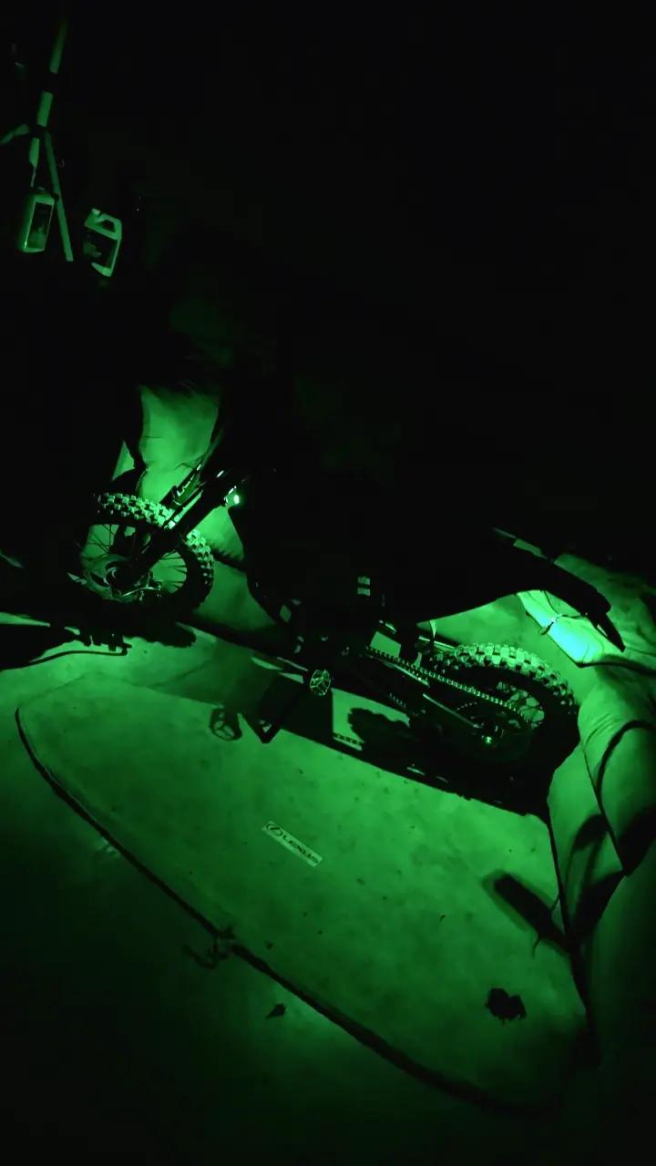 @TY-🦖†