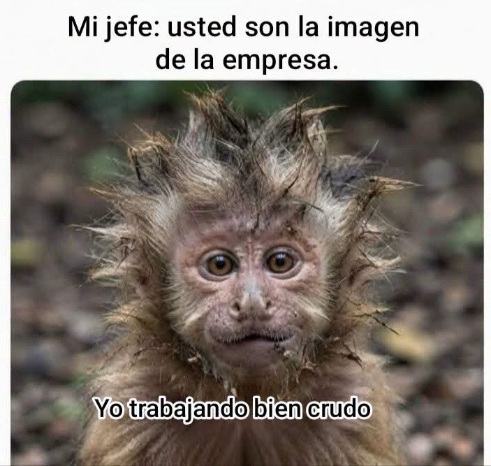 @elchanequemayor