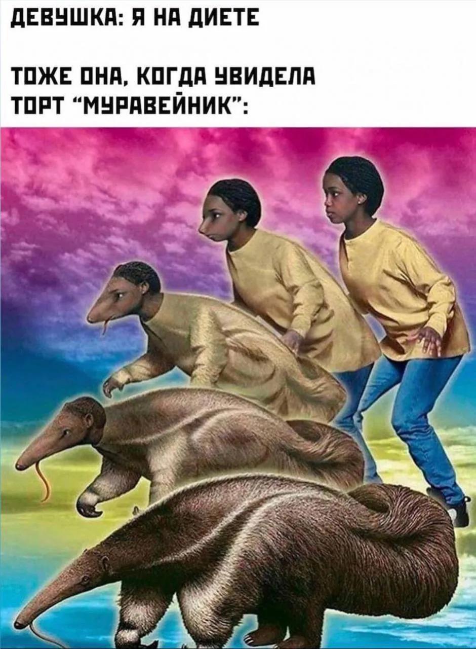 @Заходит Черепаха в Бар