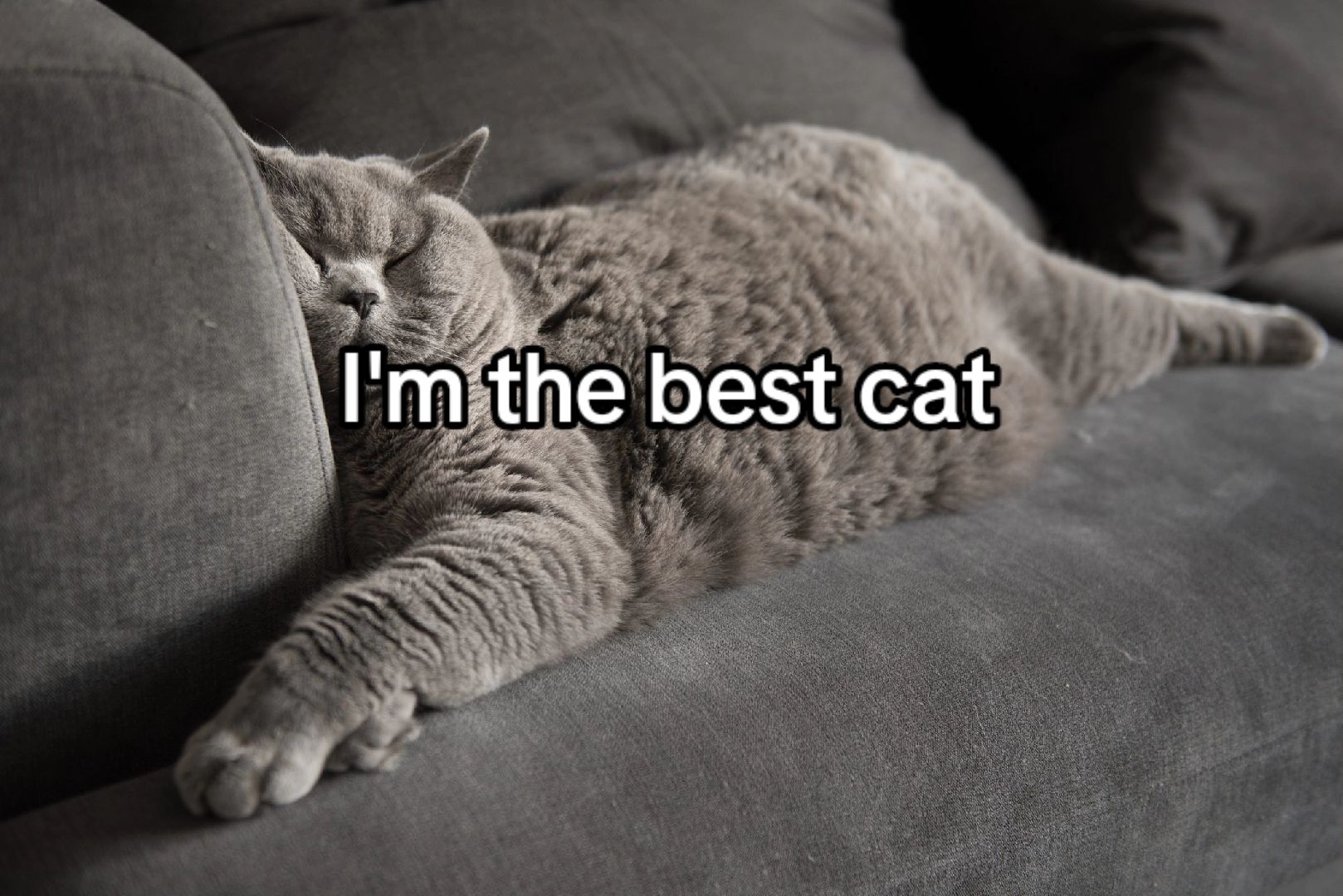 @obsess2success