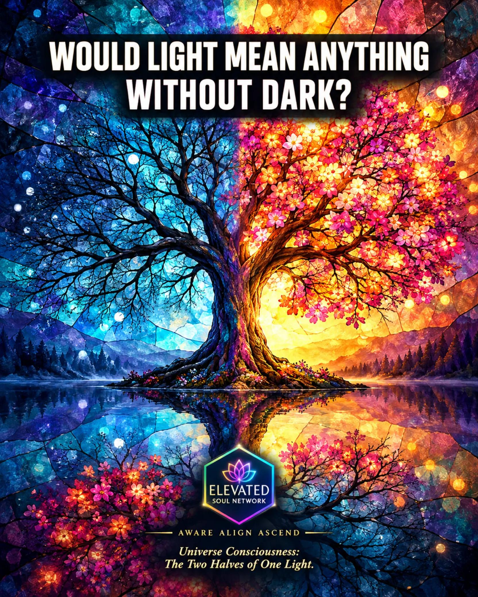@Elevated Soul Network