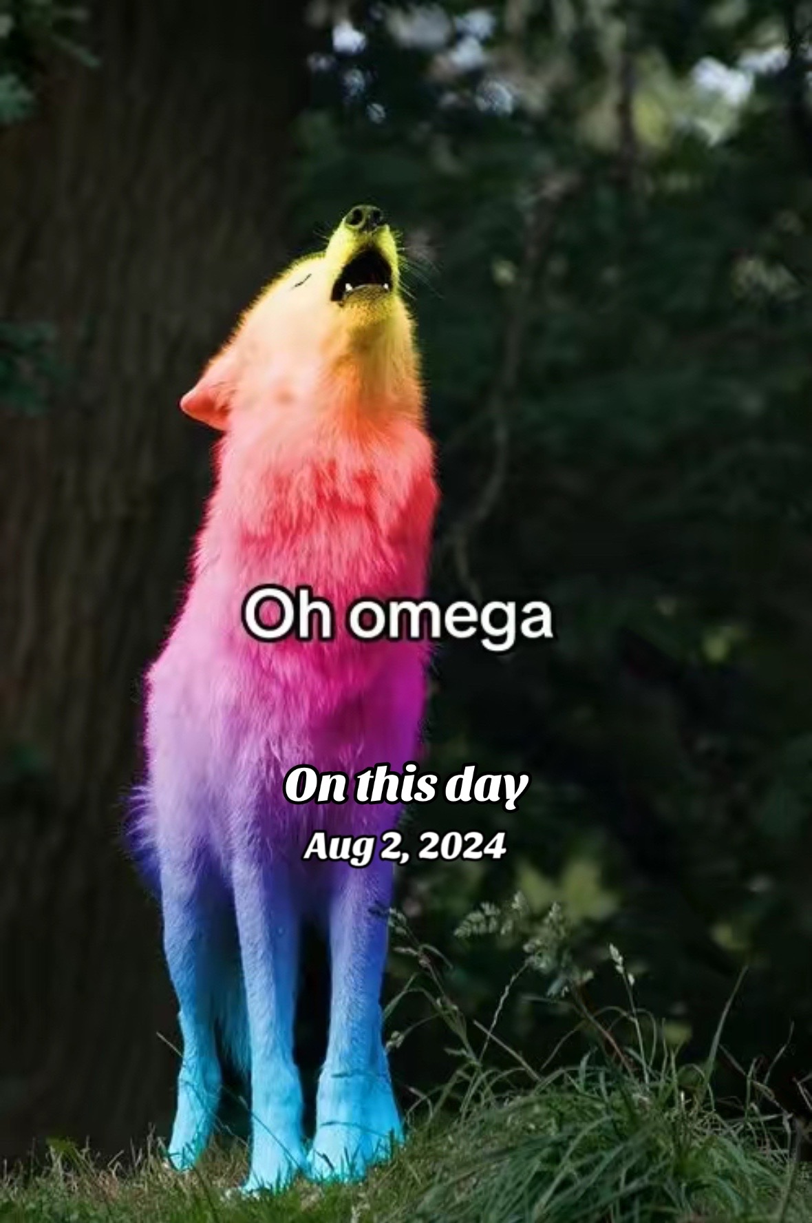 @𒁂𝕂𝕒𝕣𝕞𝕒𒁂