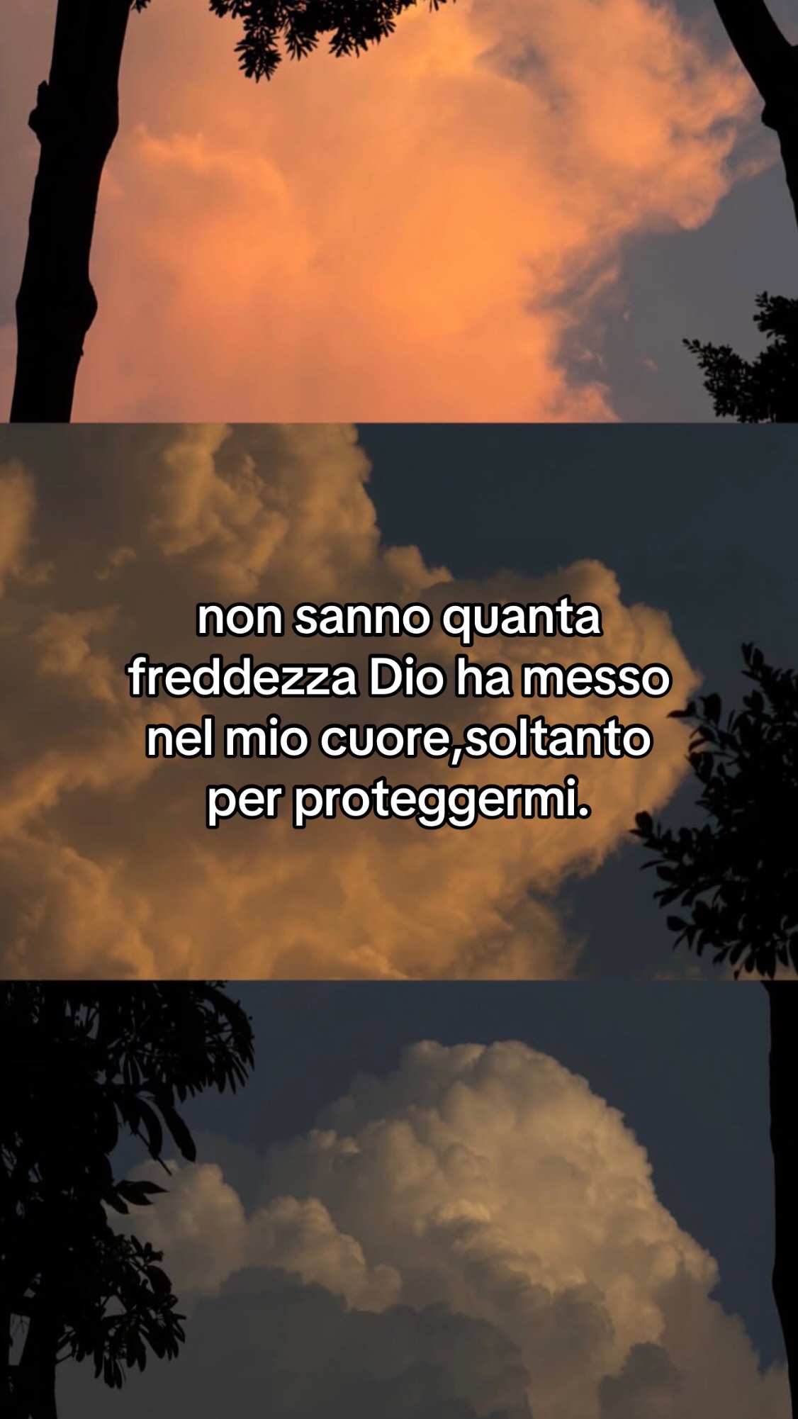 @Gioναииα🌻