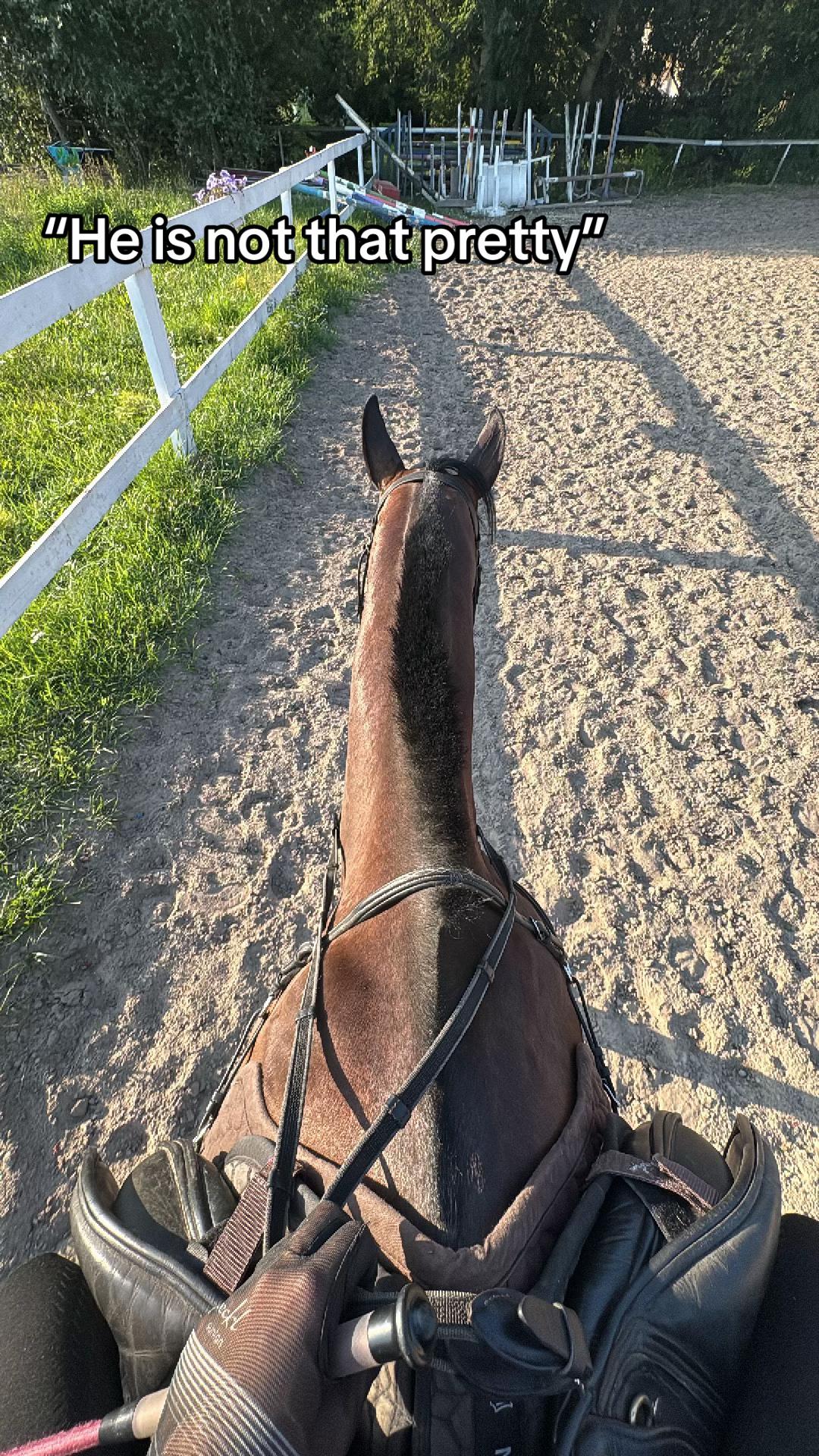 @zofka_eq