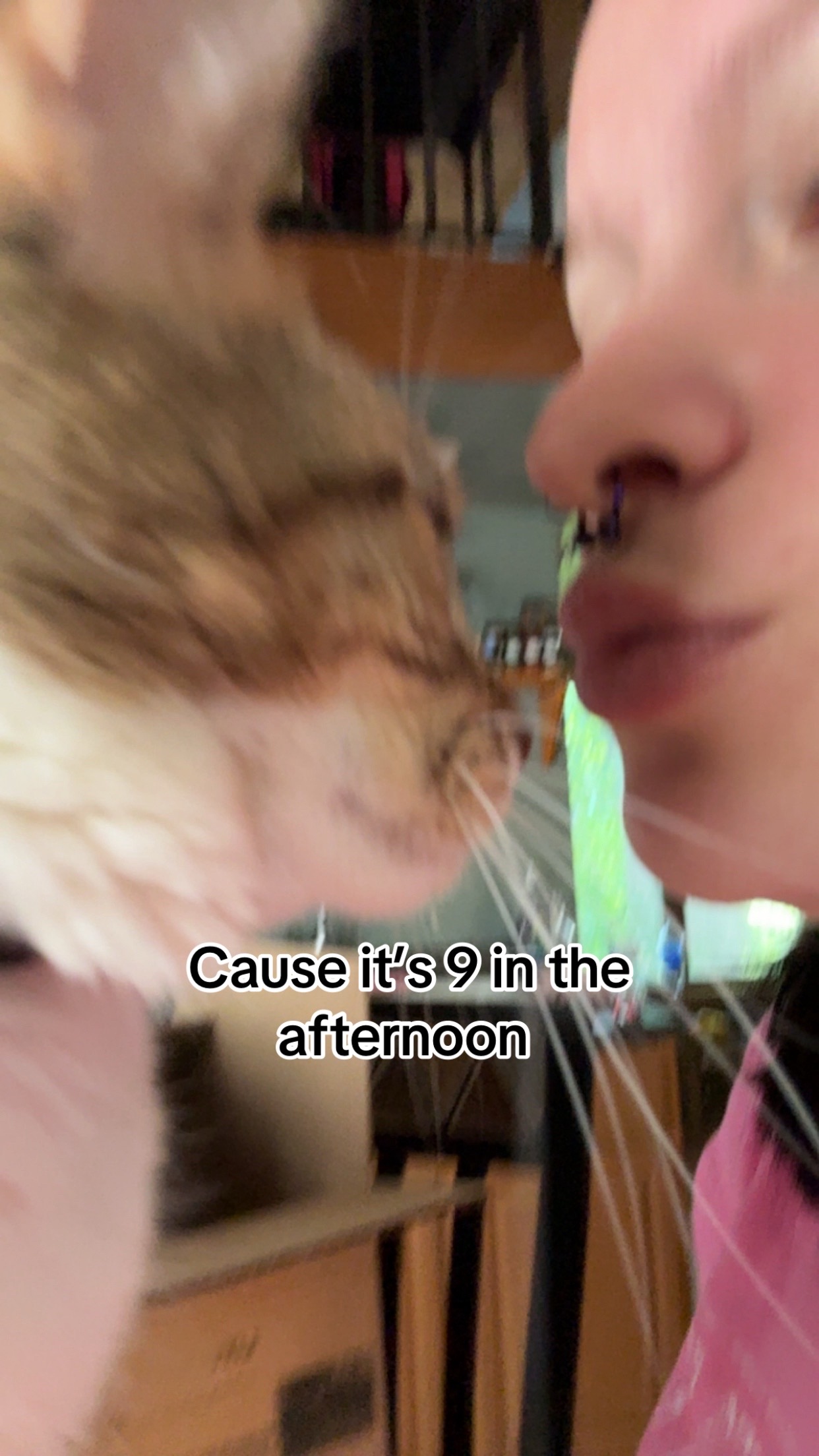 @👋🐈