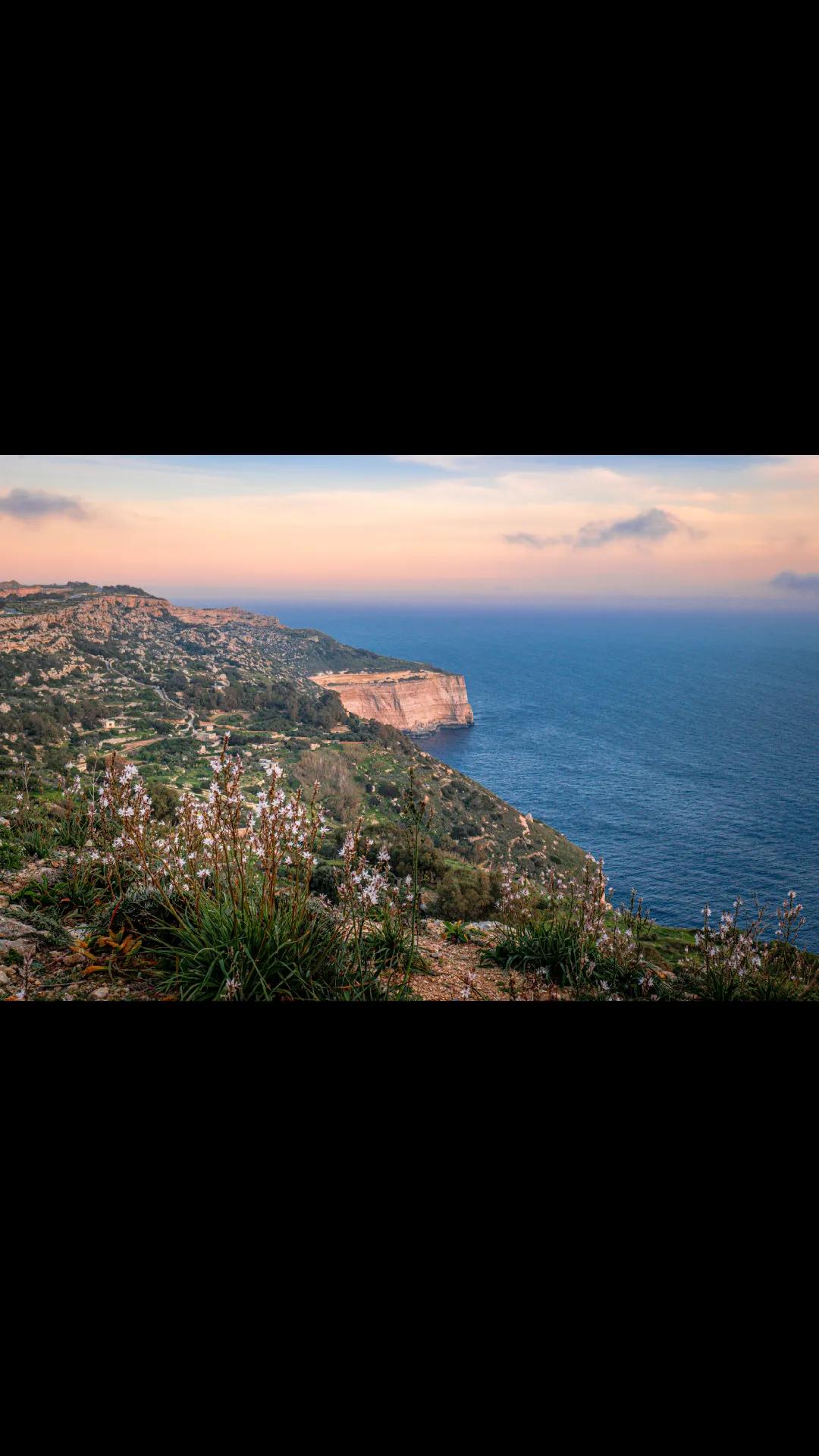 @D. Simmank Photo