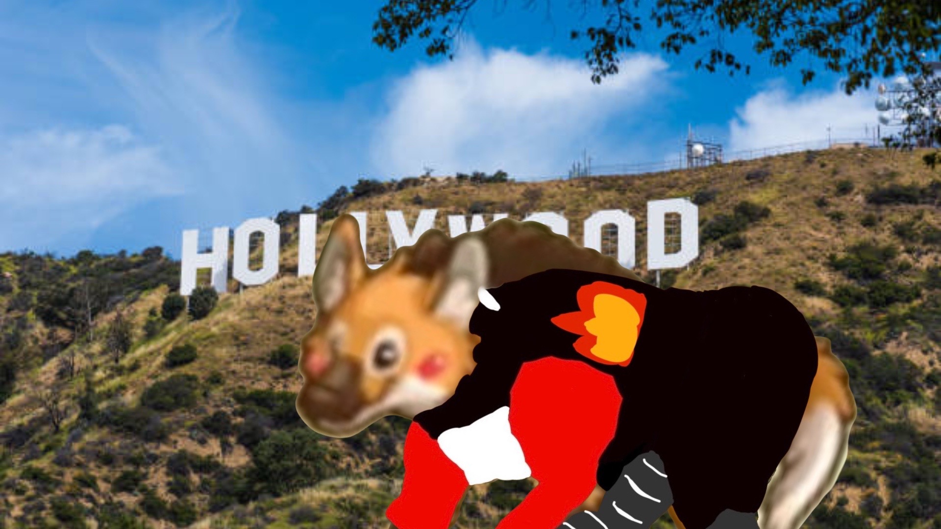 @RedTheKangaroo