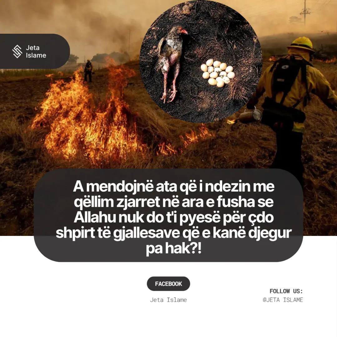 @Gjurmë Jete