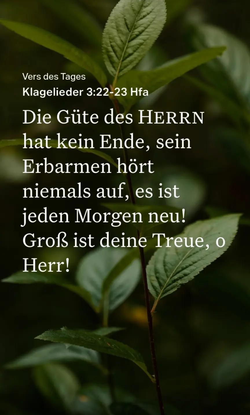 @Martin Geercken