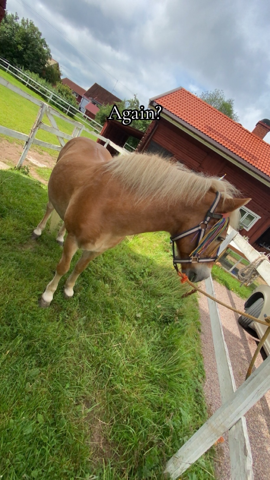@🤠Wilma🤠