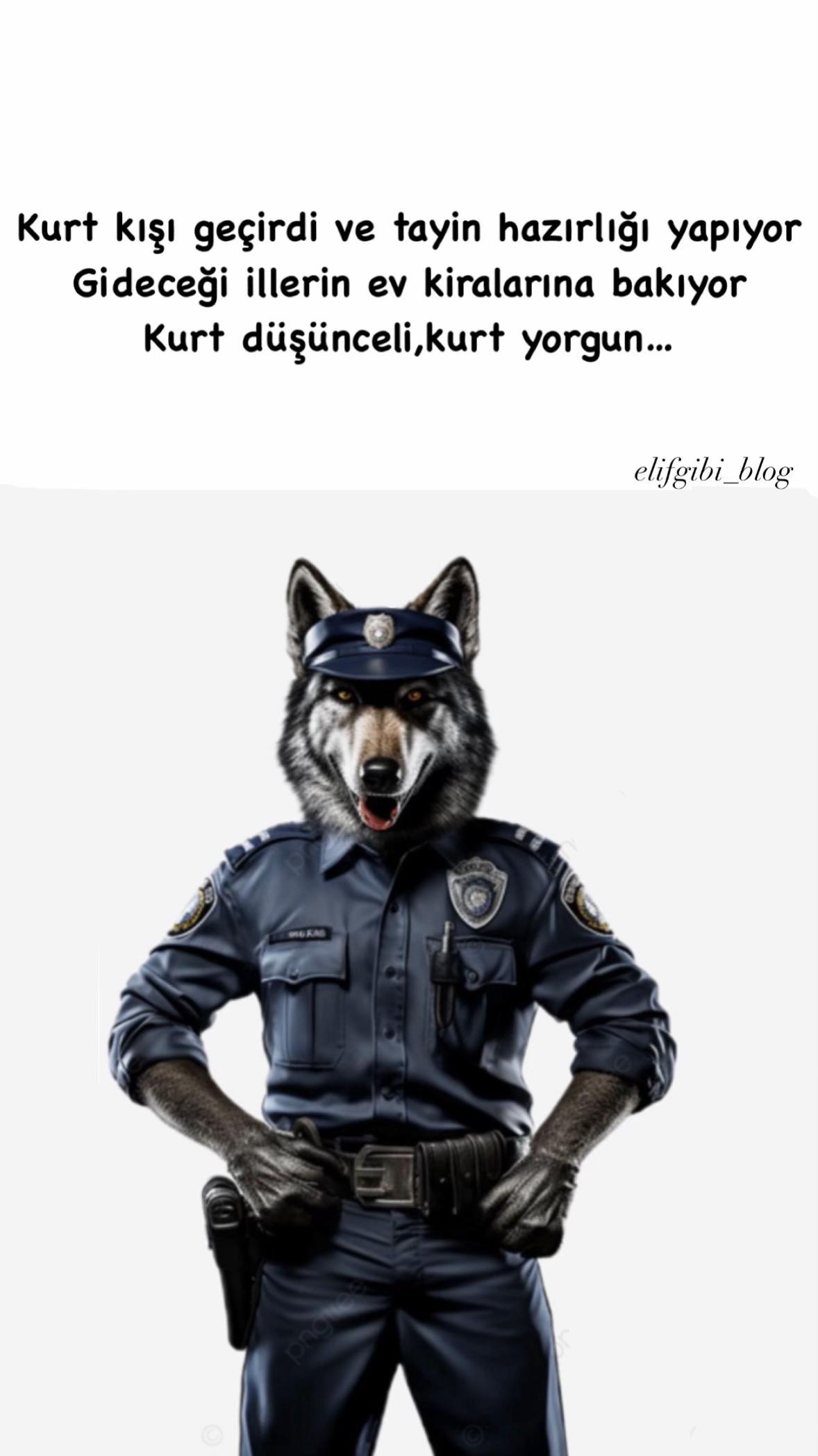 @Elif