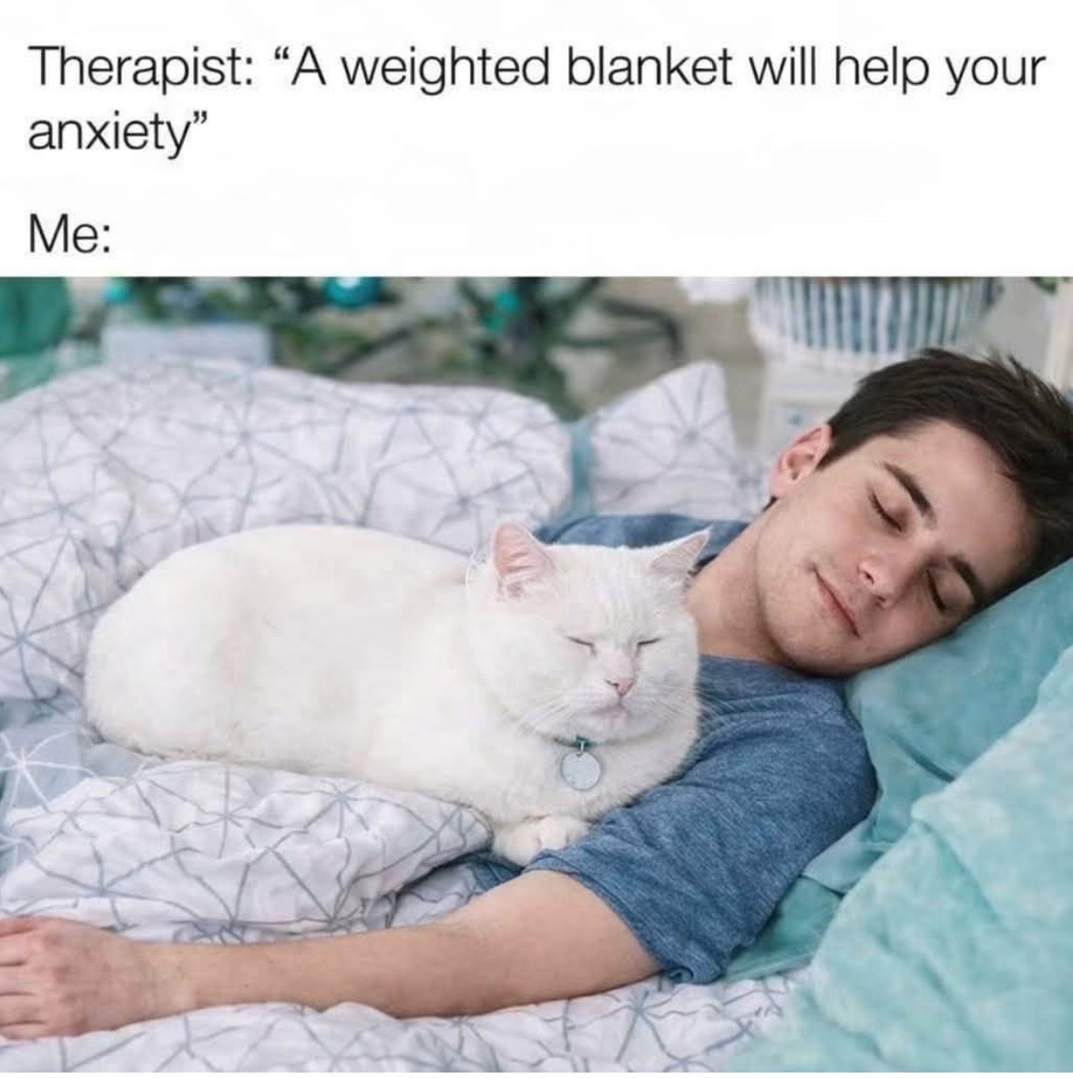 @Bratcats