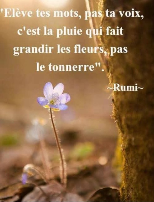 @Frederic @1965