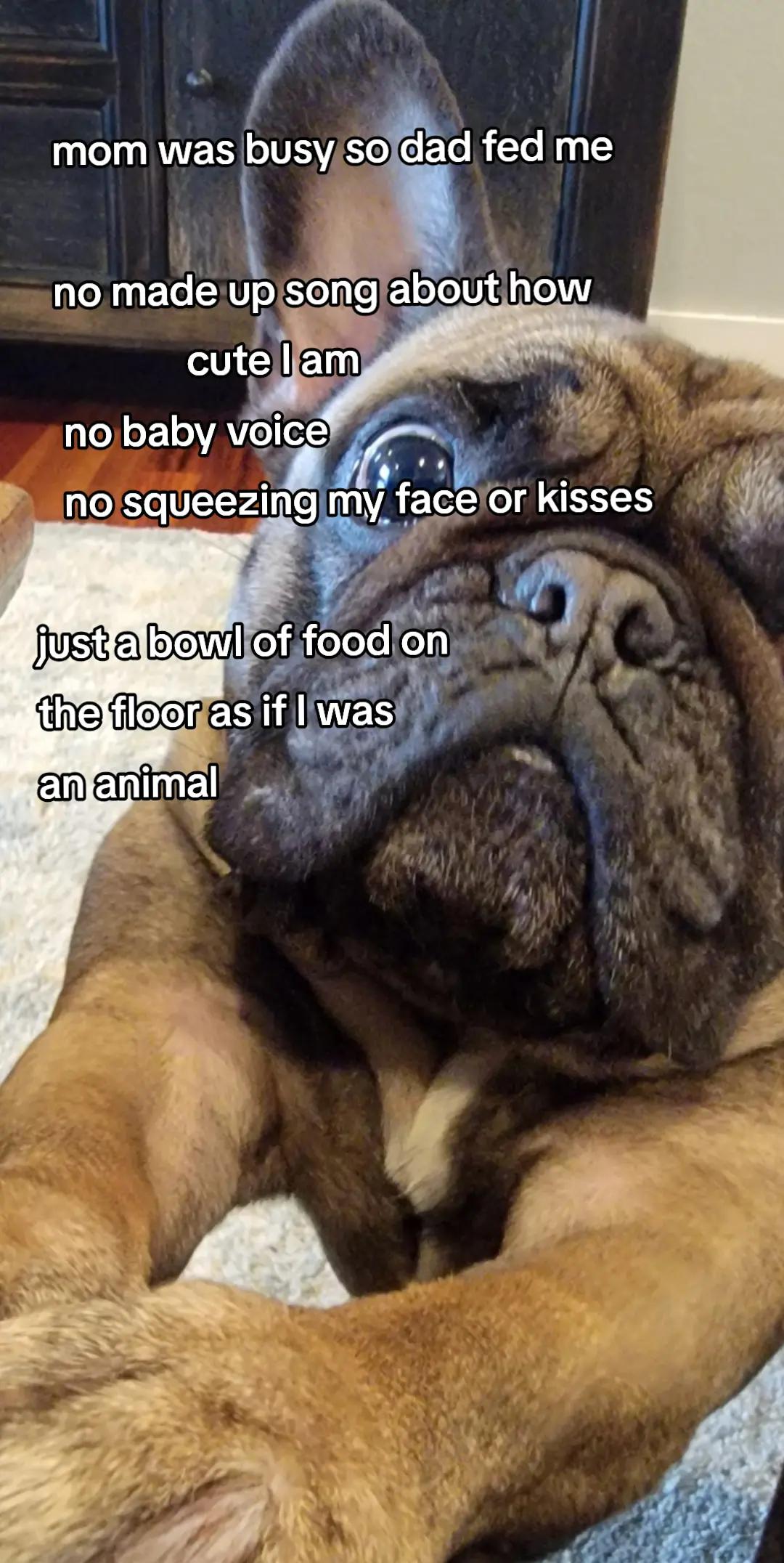 @moose.is.a.loose1