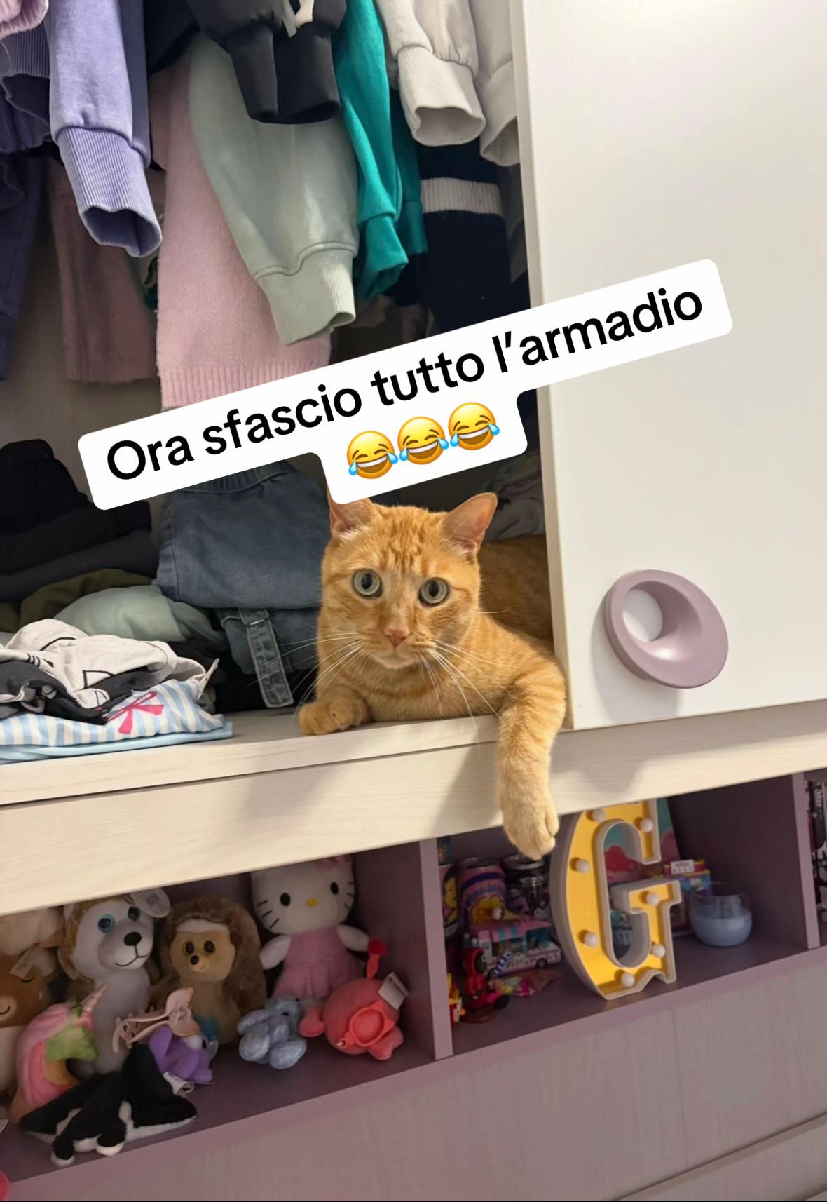 @•Samantha•🐾