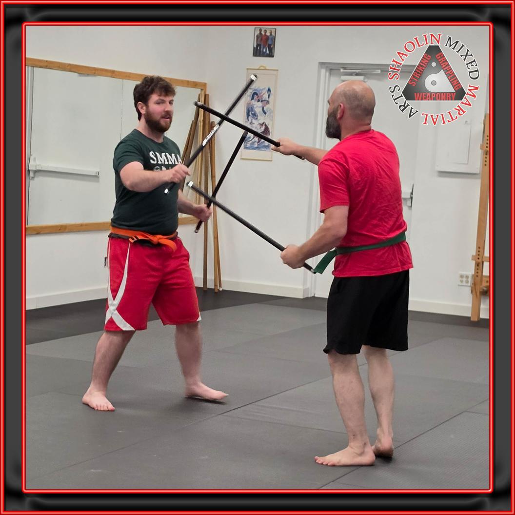 @shaolinmixedmartialarts