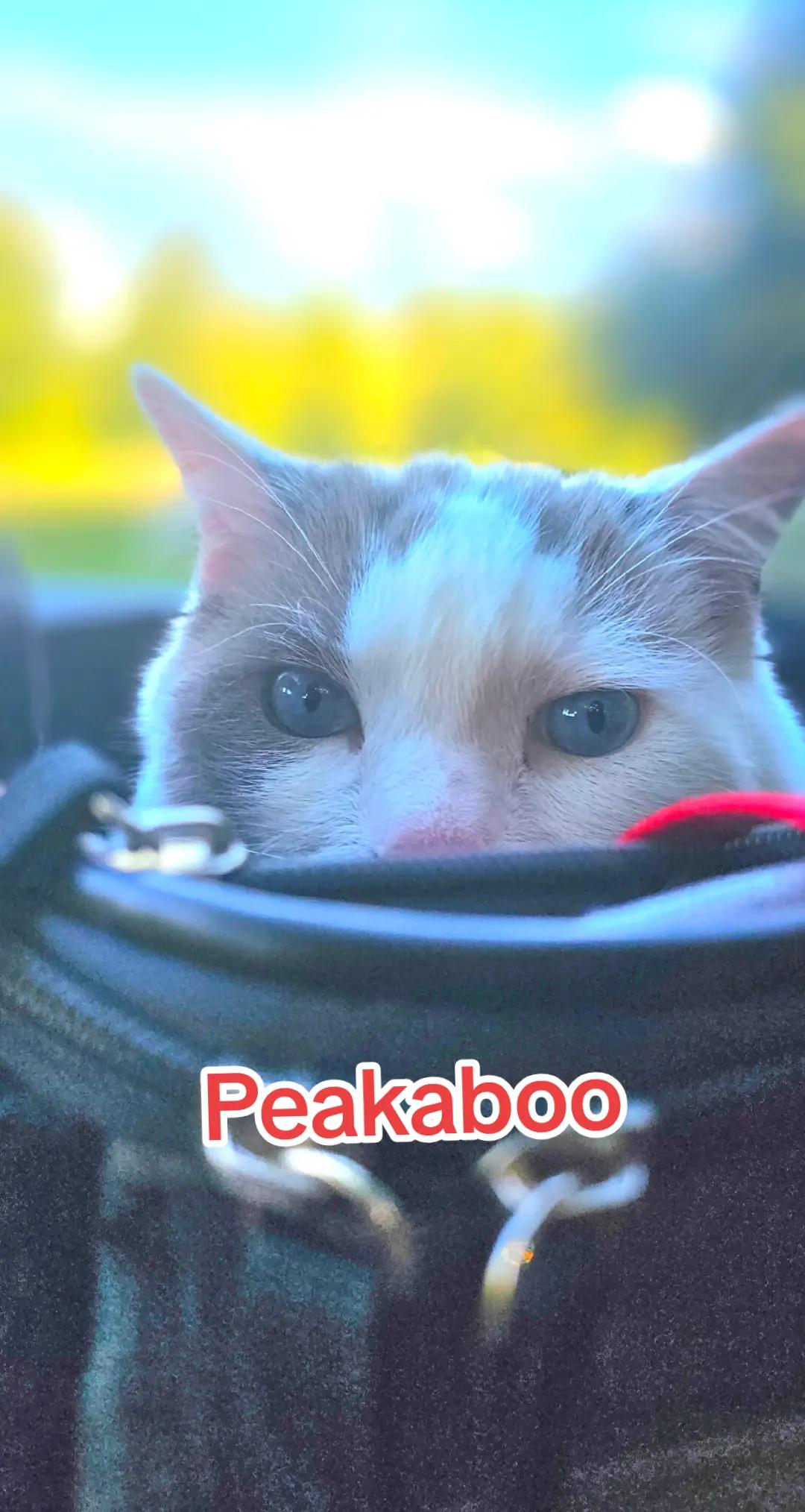 @peachandbeer