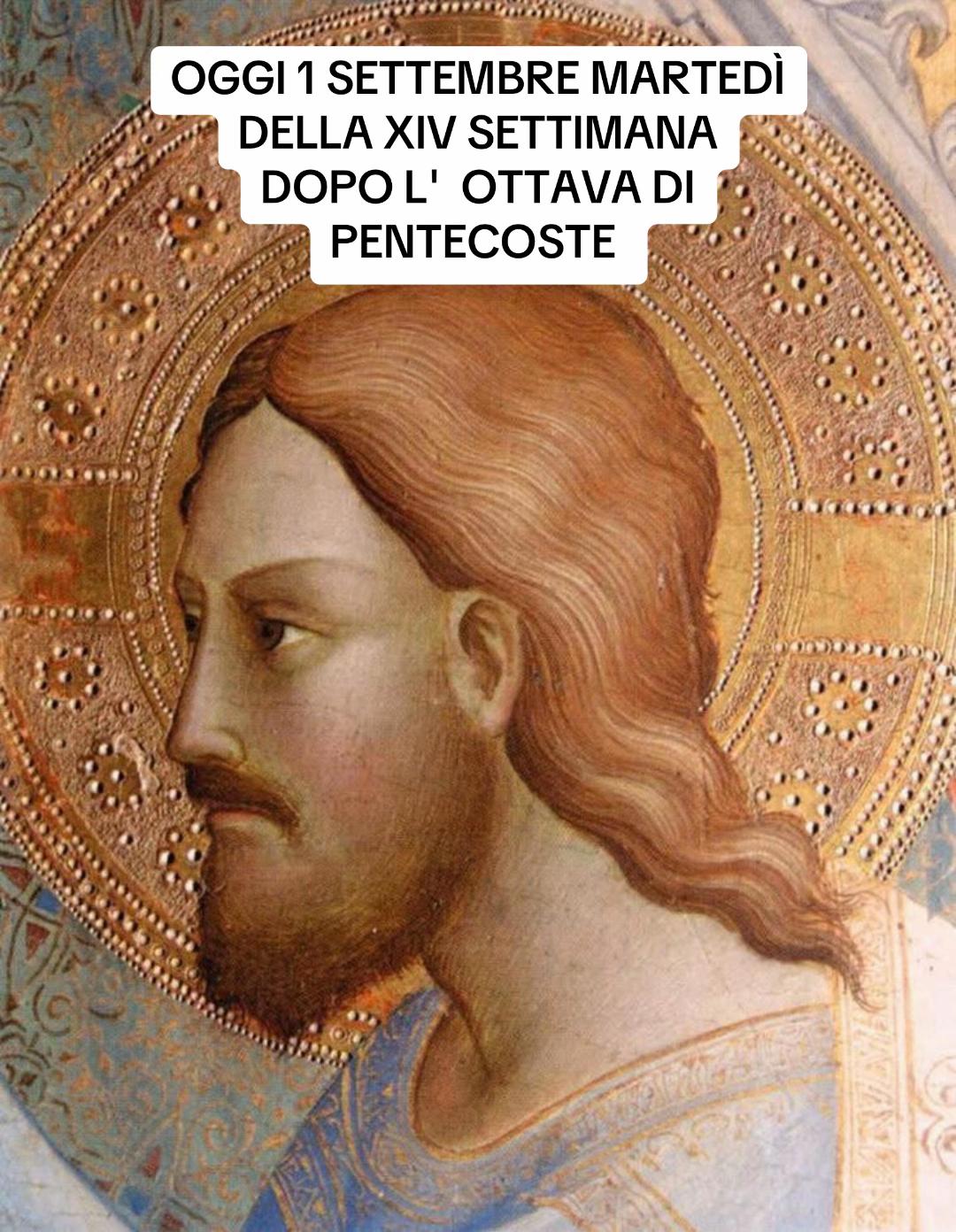 @Don Minutella