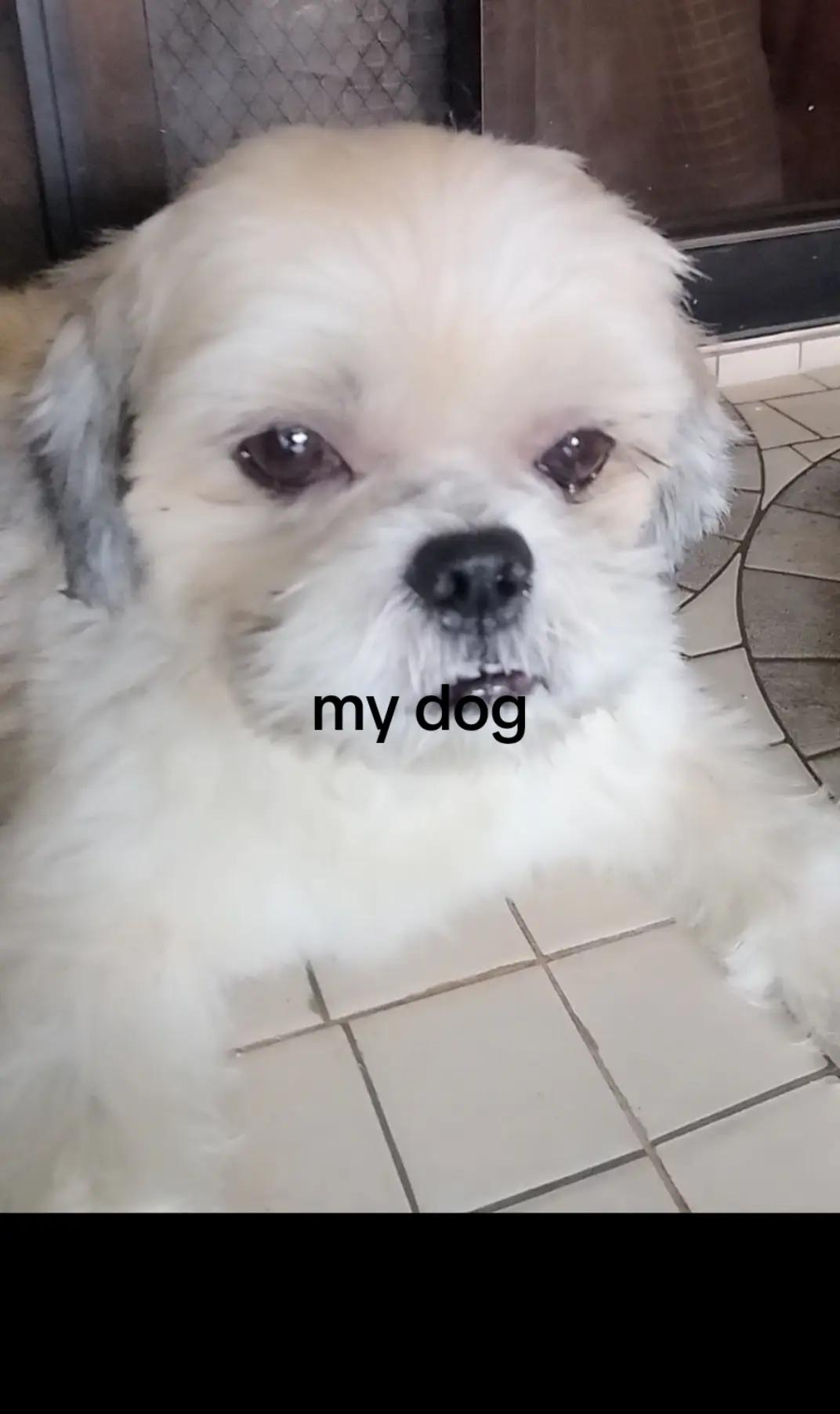 @sealotter_rants
