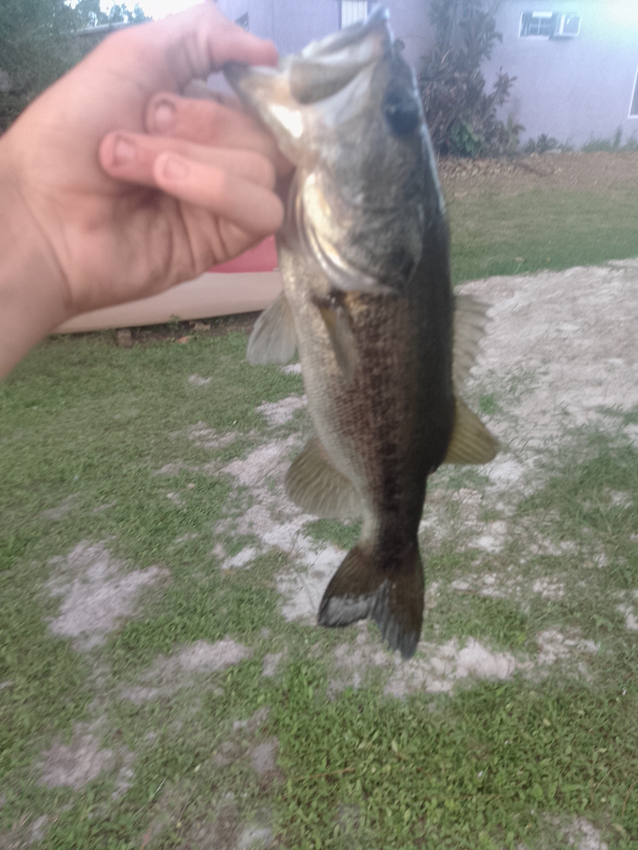 @hunting fishing boy