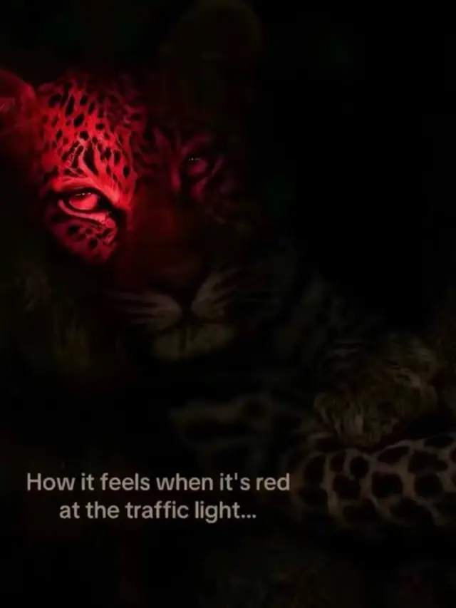@لكسينا