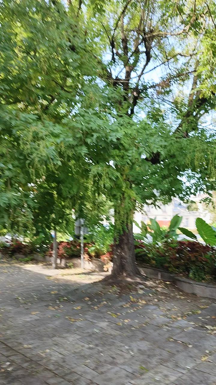 @OceaneetDylan🕊️❤️