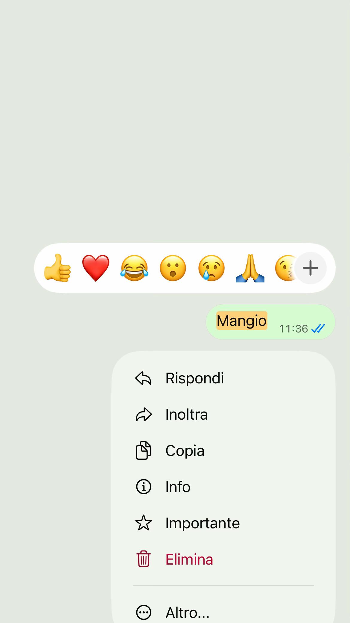 @Giulia