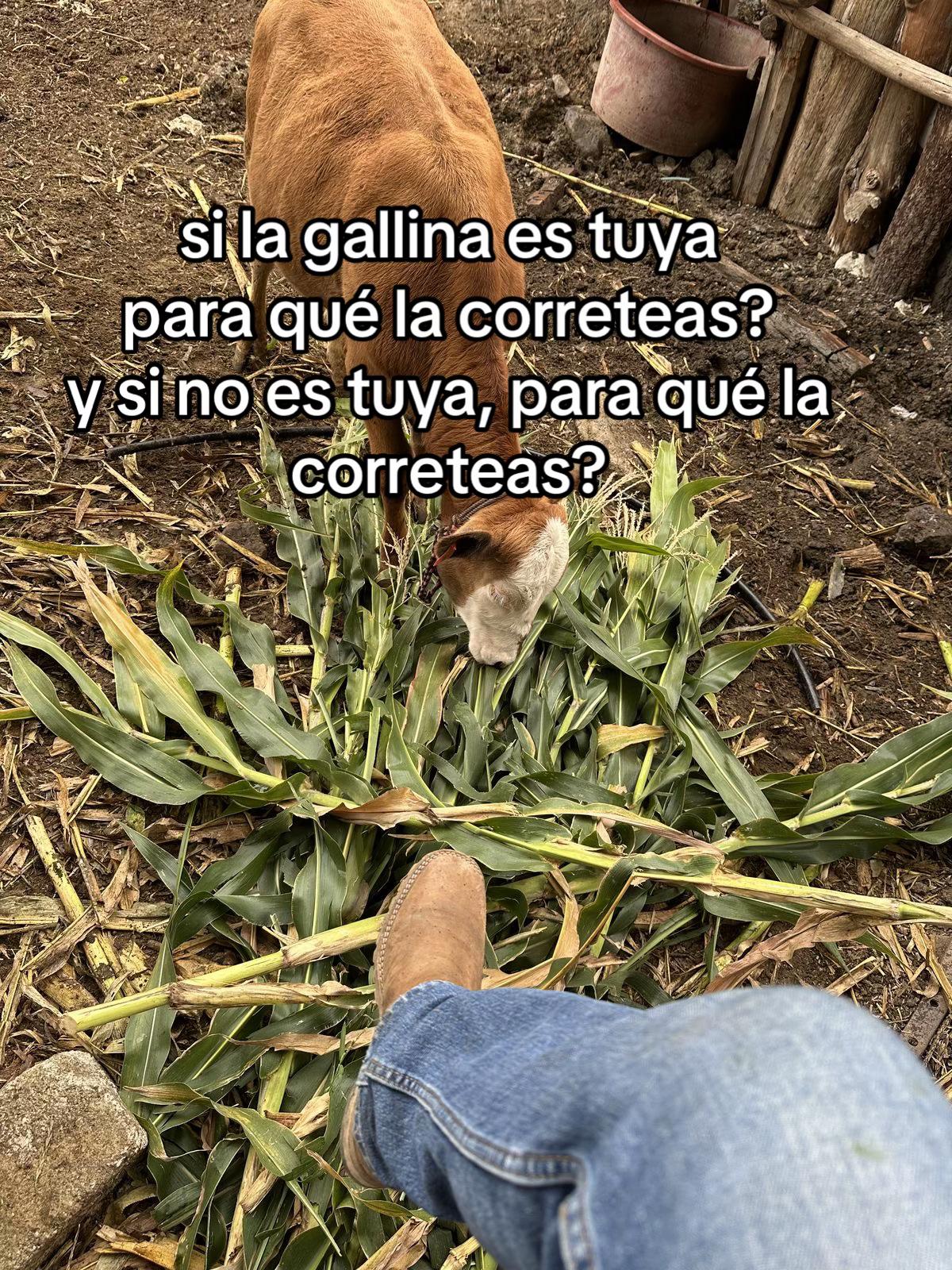 @miluus66