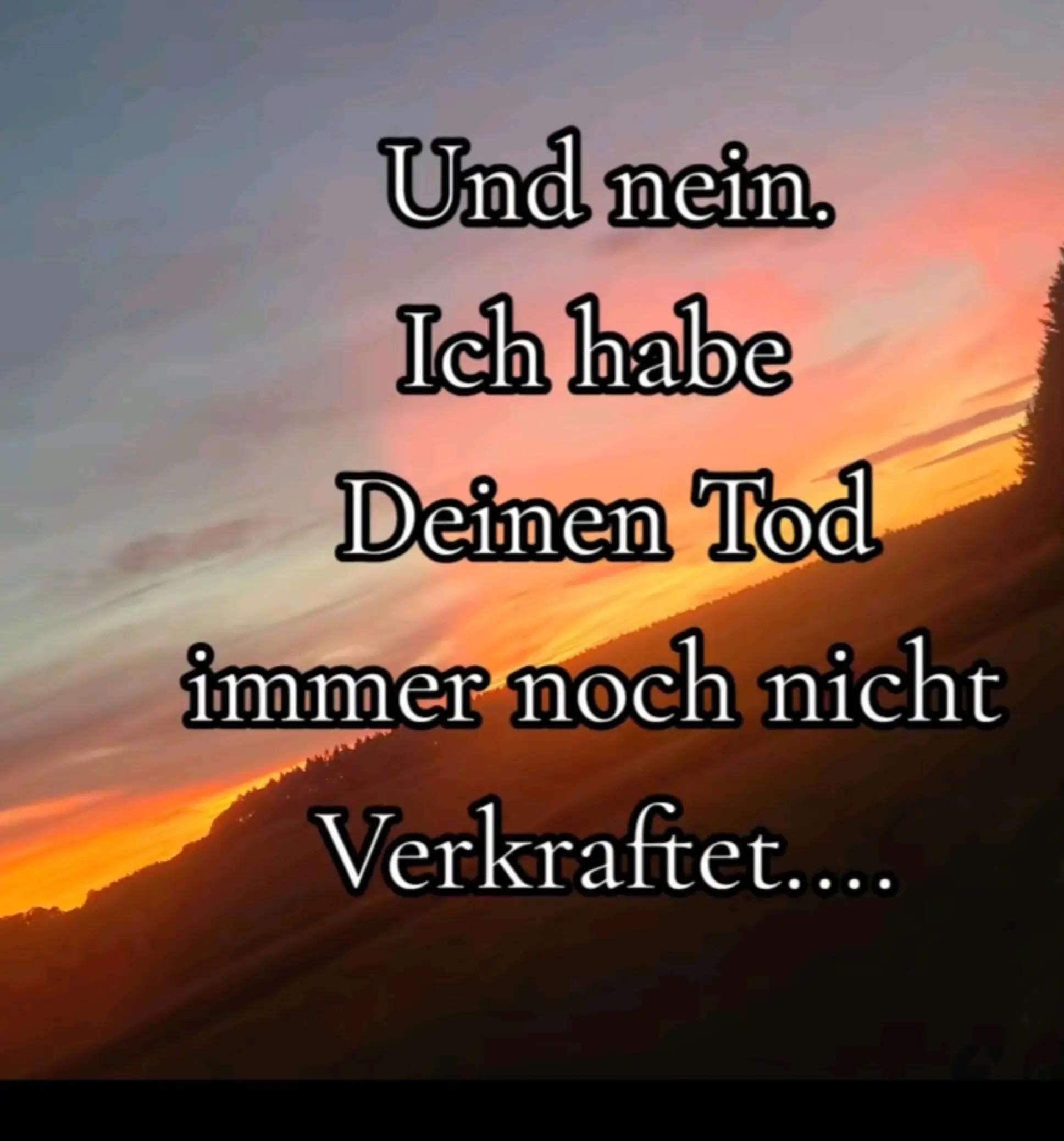 @💥_NiChT_dEiNe_LiGa_💥