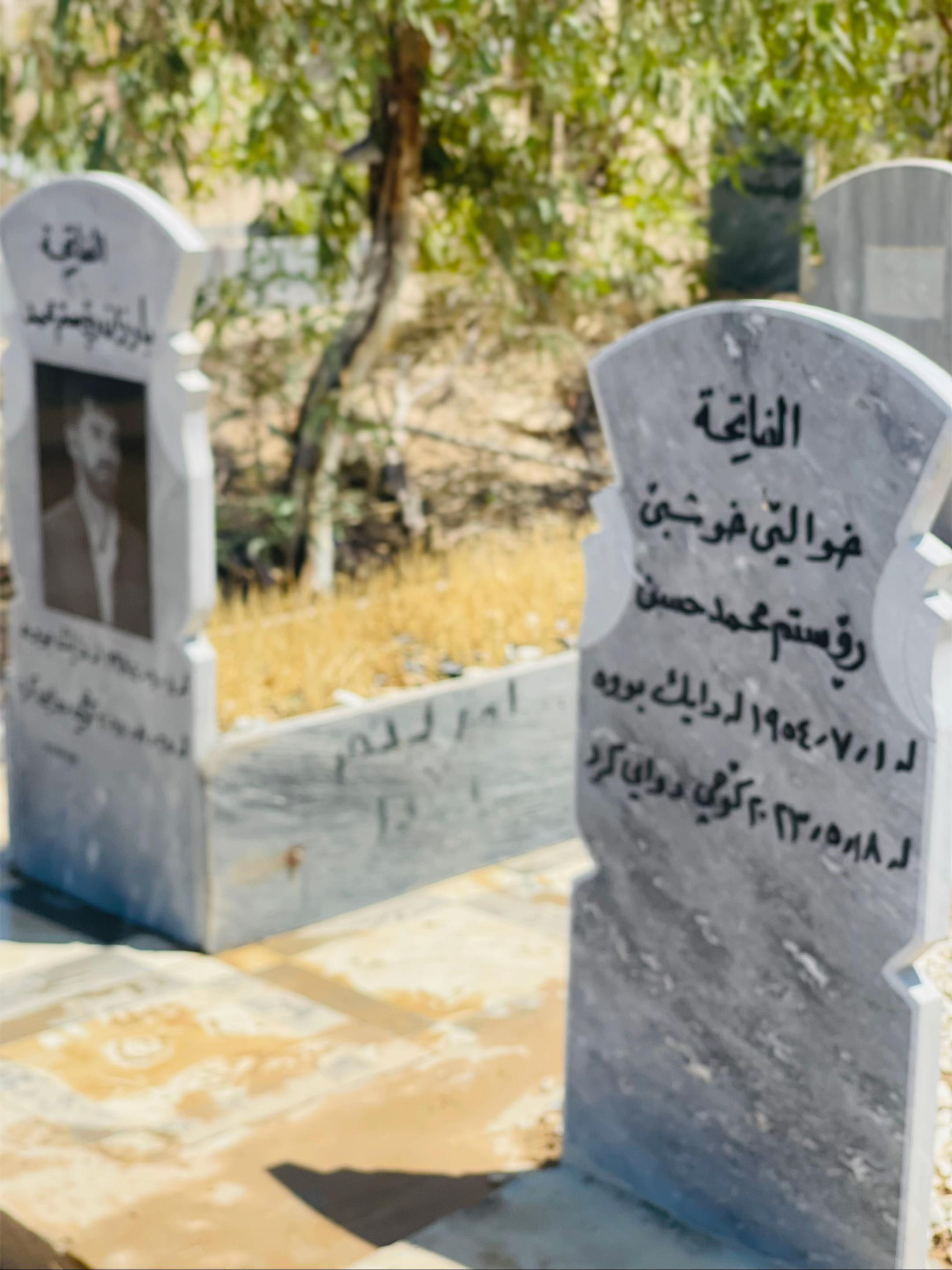 @🤍﮼بەرخە ﮼سپیەکەم