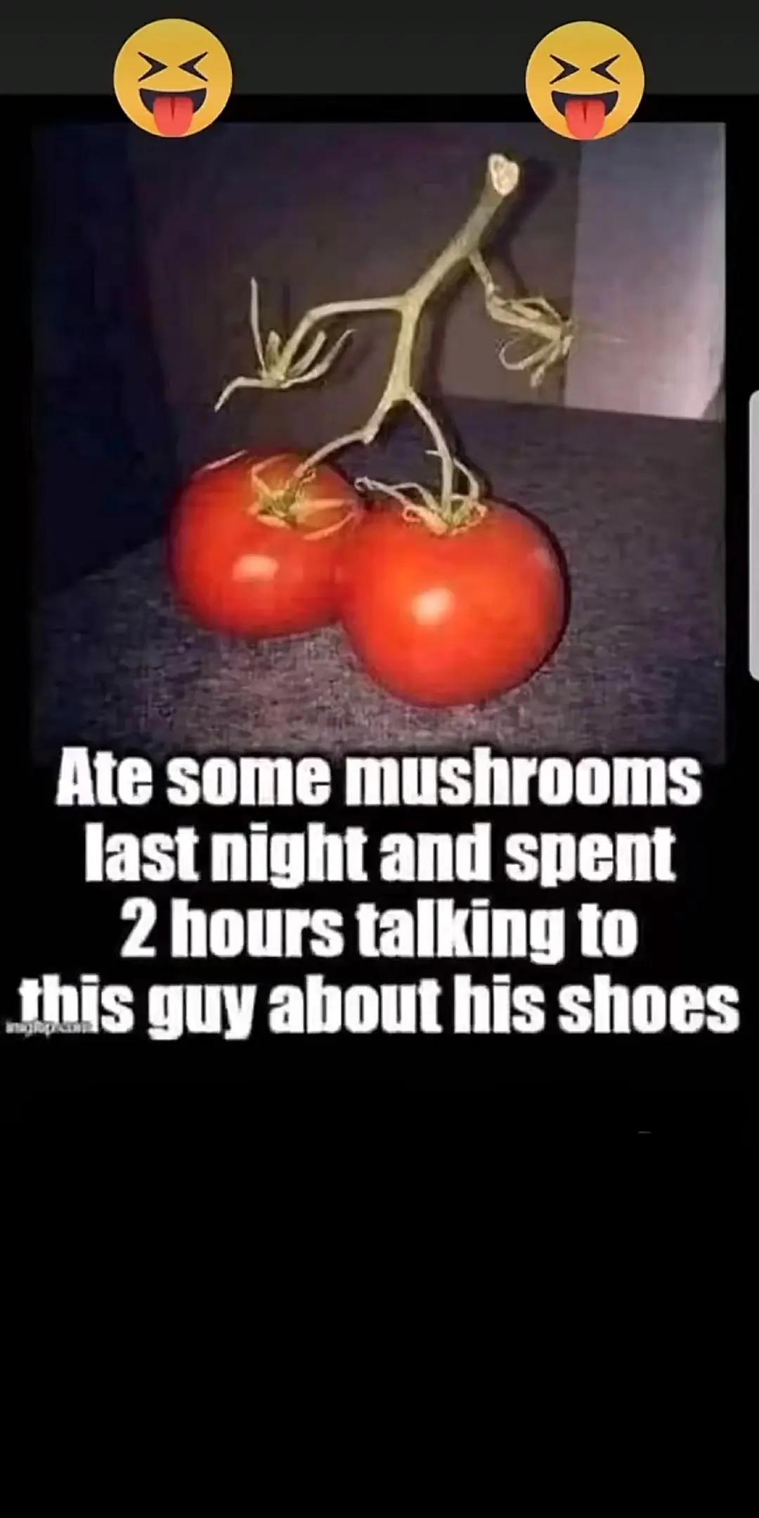 @MR MUSH