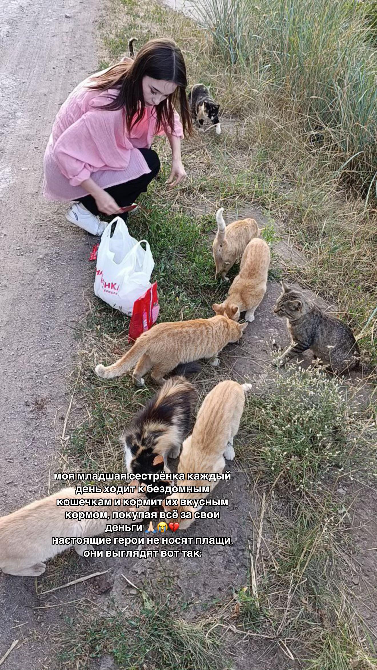 @🪽 любимица 🪽
