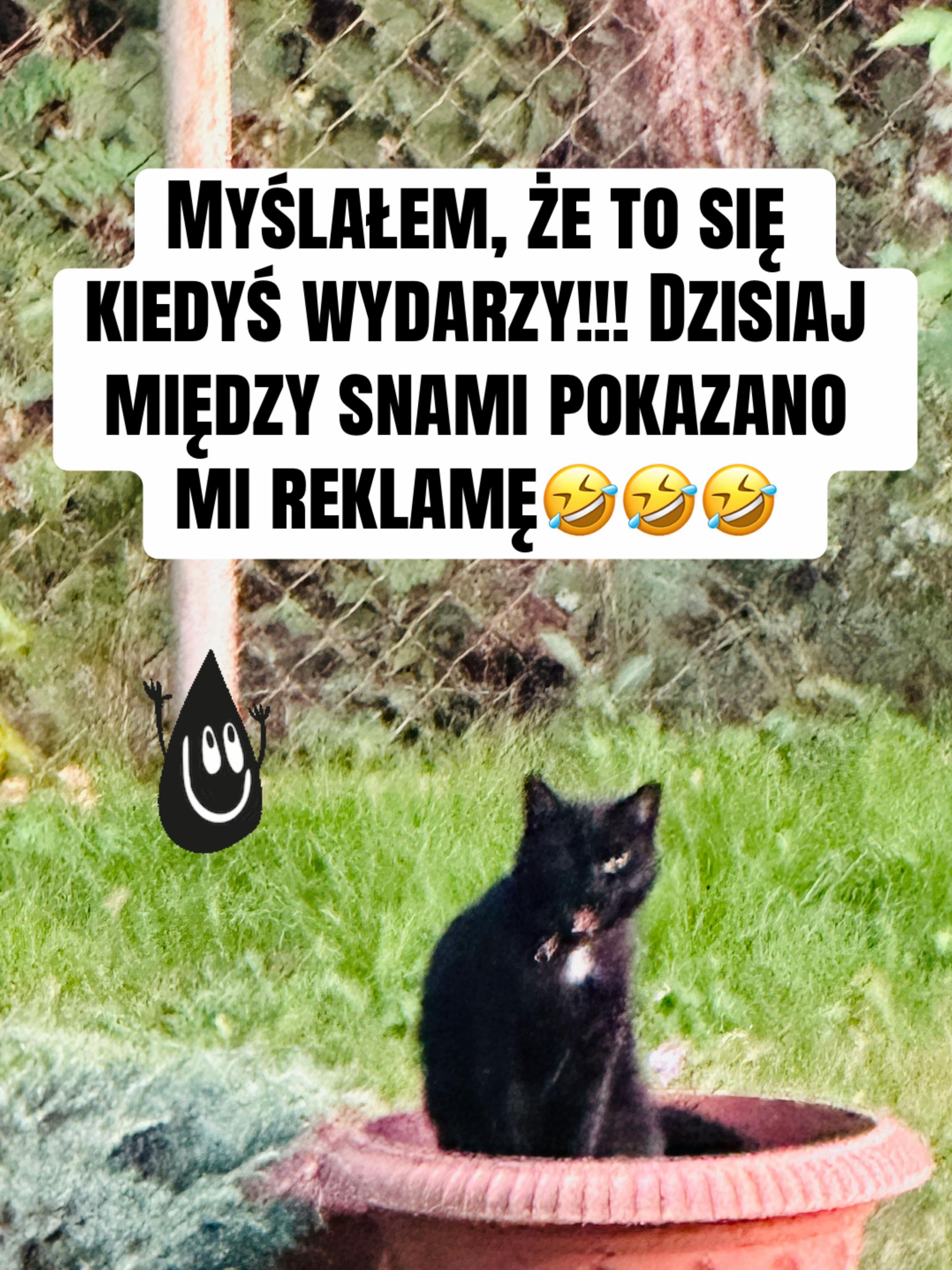 @Szalone Nożyczki ✂️