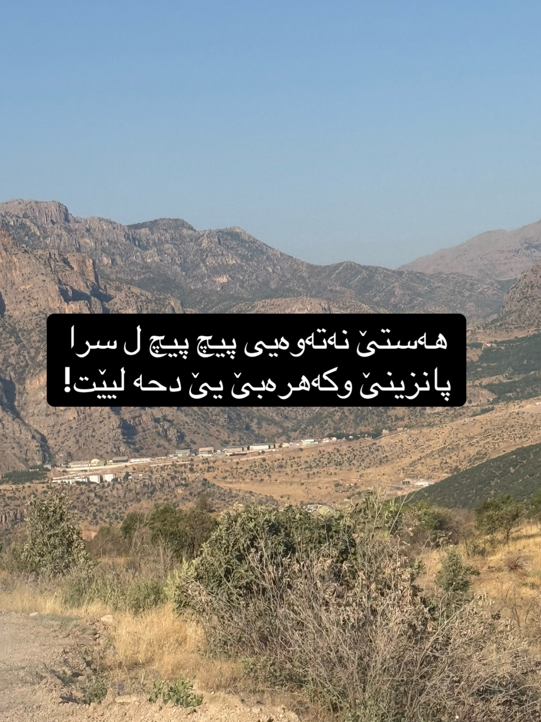 @Zaid Brifkani MDزيد بريفكاني
