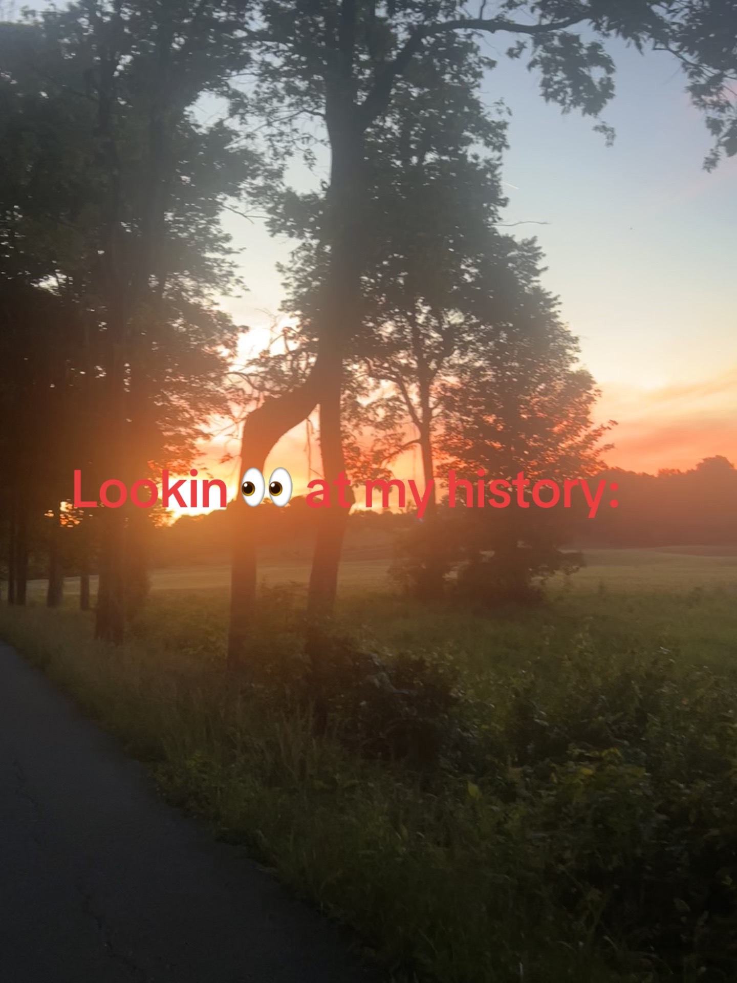 @spammm_lexi_1