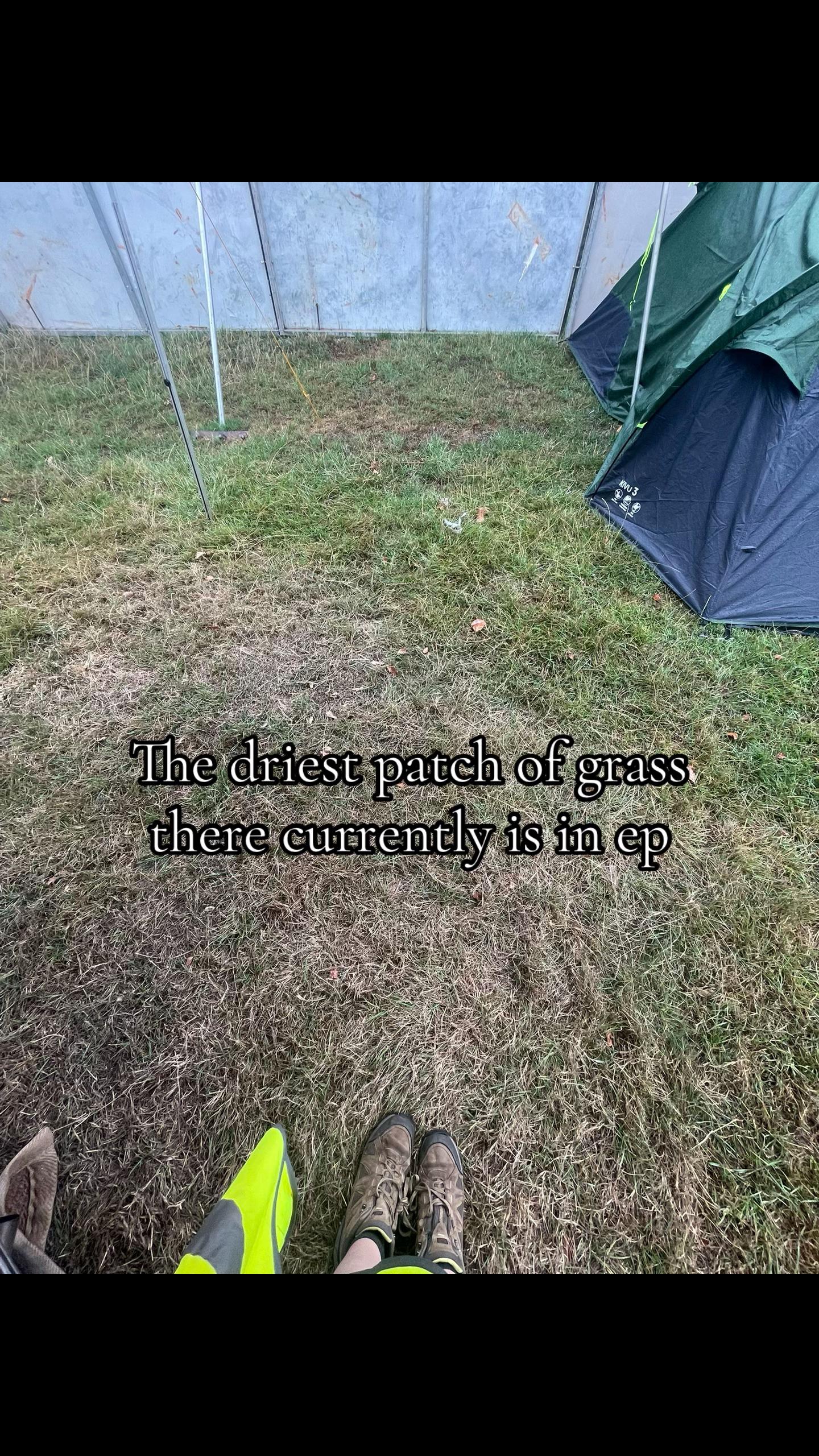 @.・。.・゜✭・.・✫・