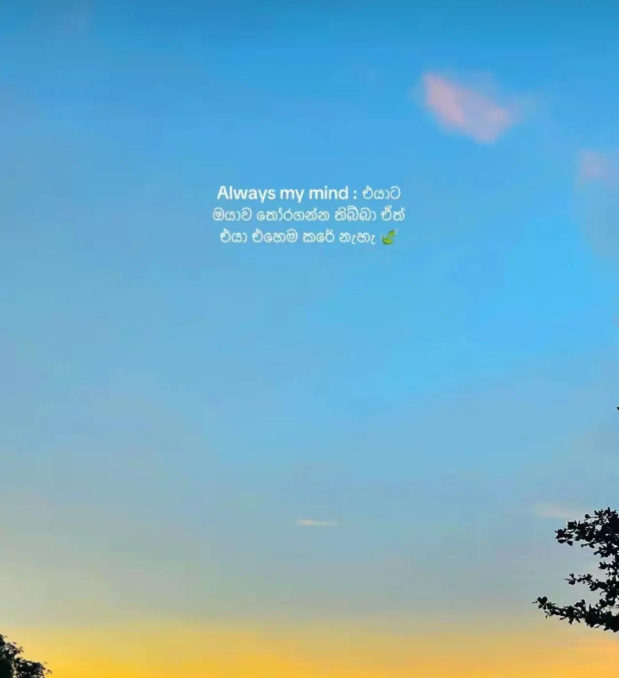 @𝑺𝒉𝒂𝒃𝒊𝒏 爱✨☁