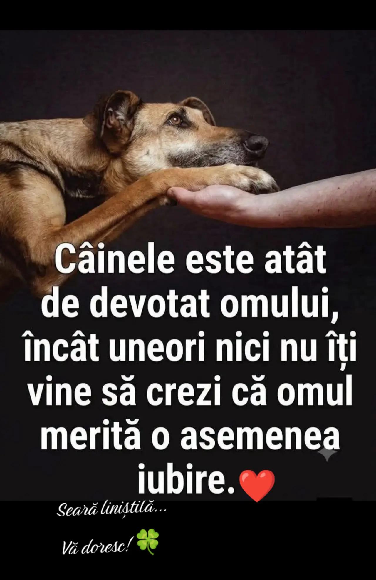 @1744.🍀🖤🍀